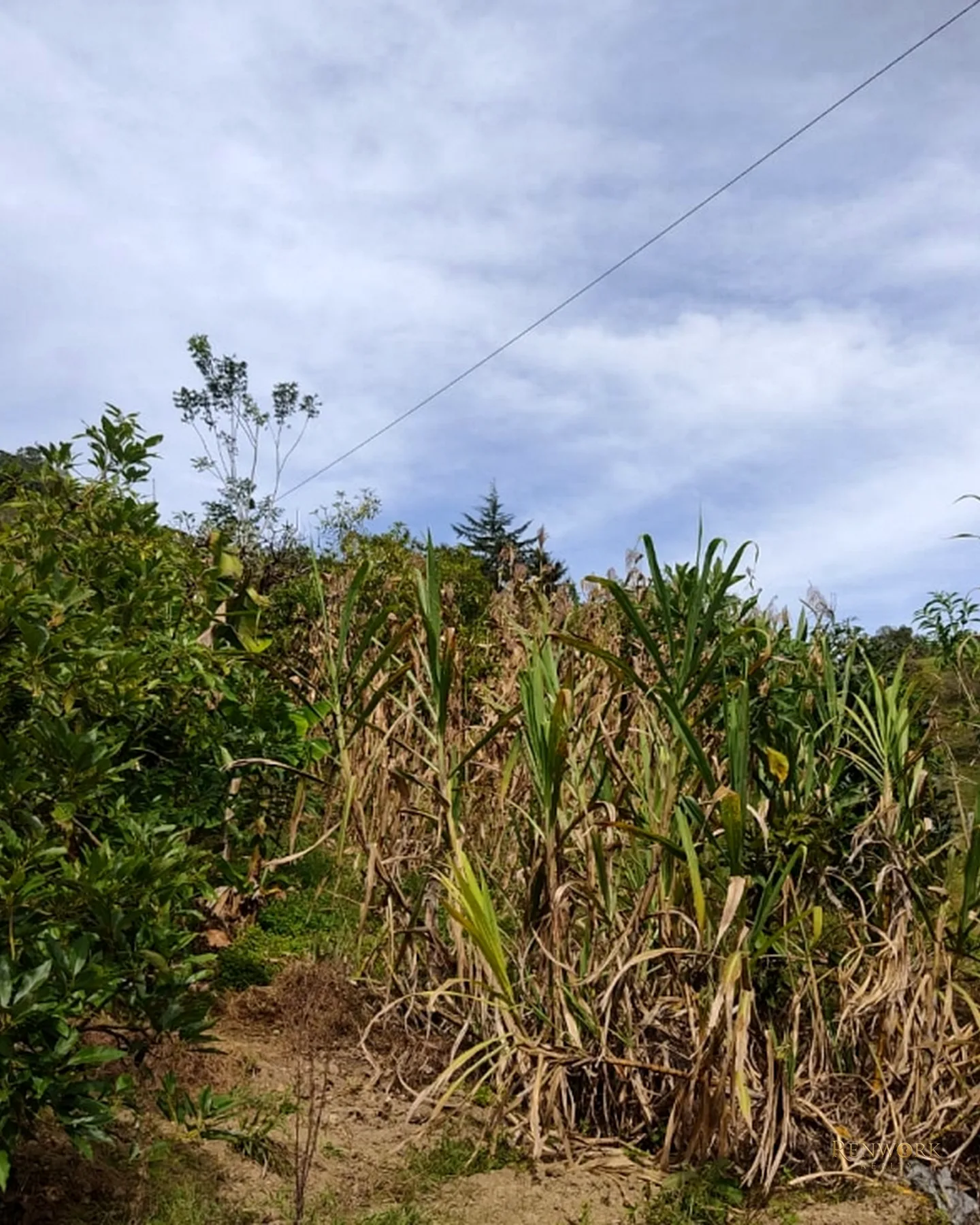 FINCA 14 HECTÁREAS EN SAN VICENTE FERRER | CASCADAS Y AGUACATES 🏞️🥑 · foto 9