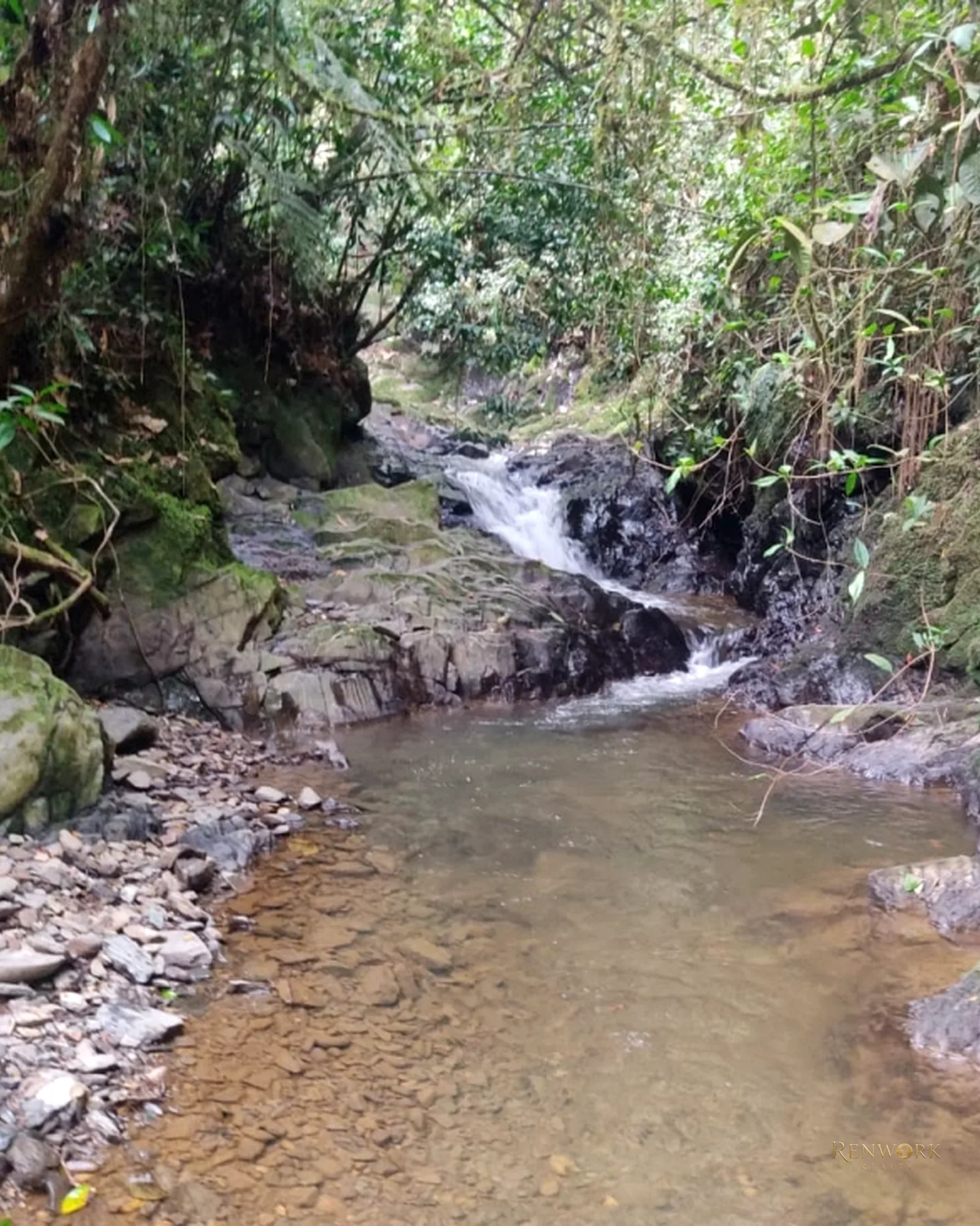 FINCA 14 HECTÁREAS EN SAN VICENTE FERRER | CASCADAS Y AGUACATES 🏞️🥑 · foto 2