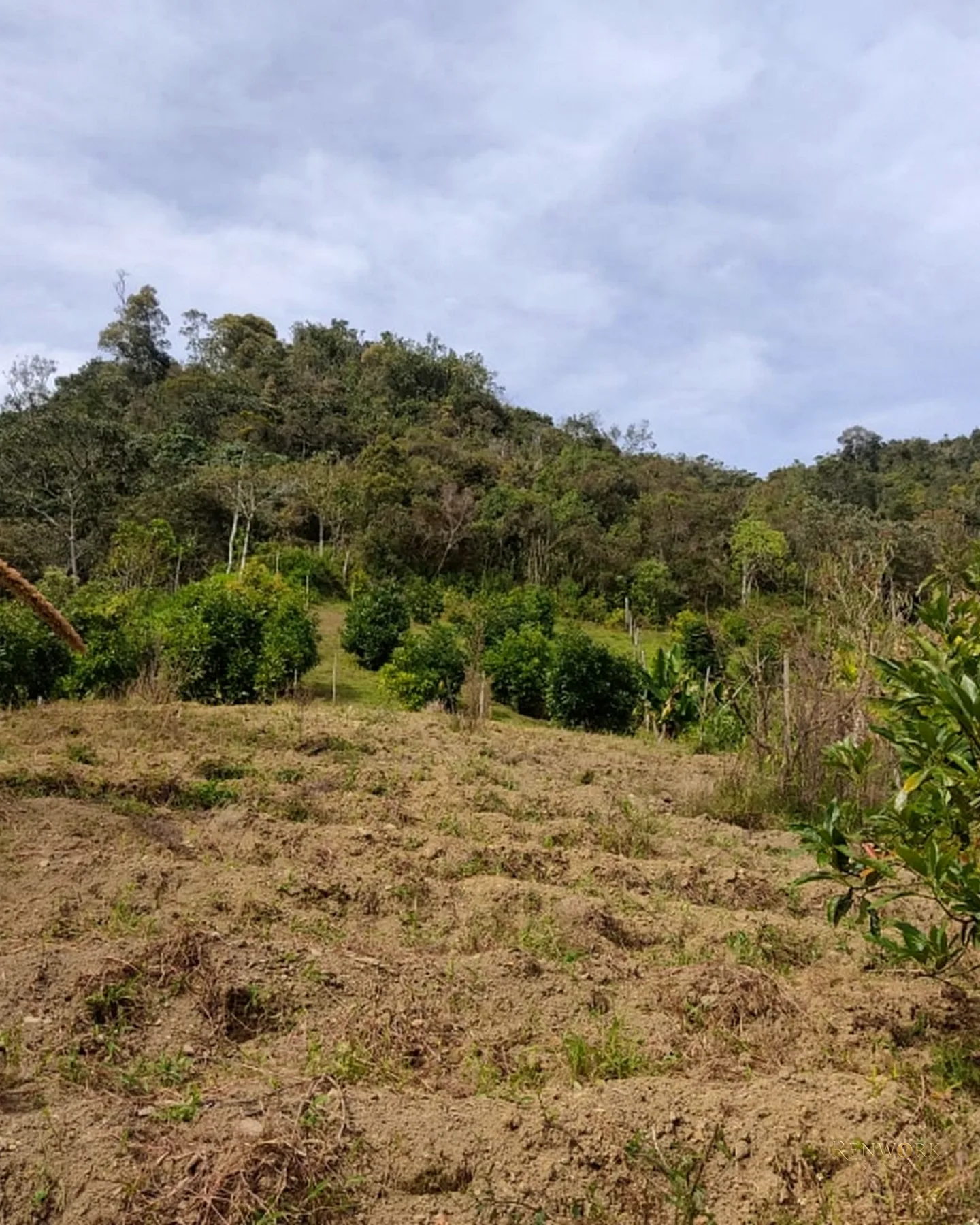 FINCA 14 HECTÁREAS EN SAN VICENTE FERRER | CASCADAS Y AGUACATES 🏞️🥑 · foto 8