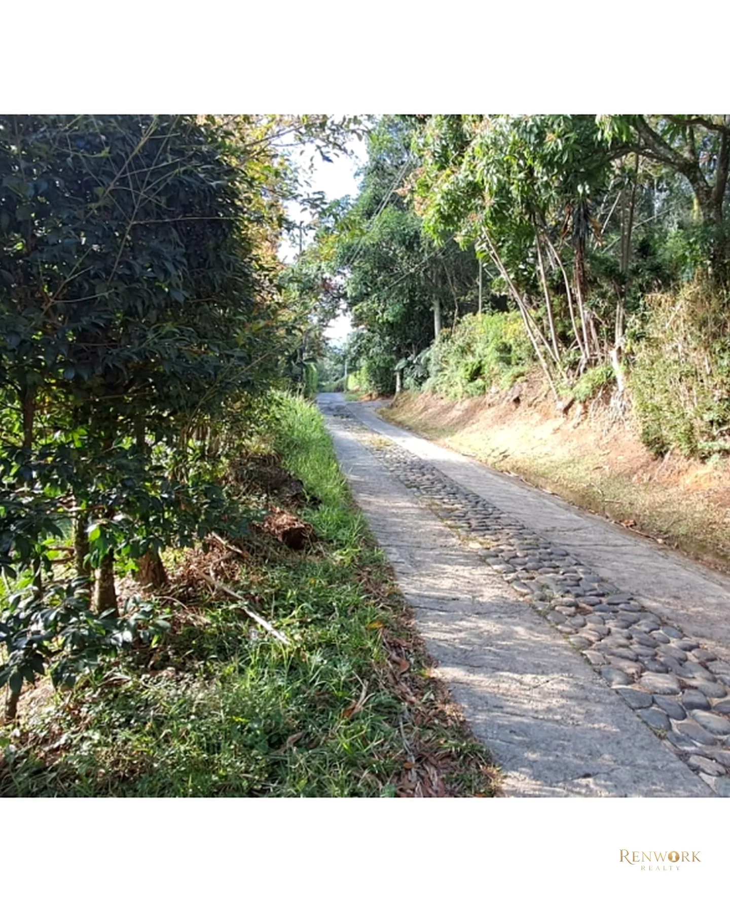 FINCA 2.000M² GIRARDOTA EL TOTUMO CON TERRAZA Y ACCESO A QUEBRADA 🏞️✨ · foto 14