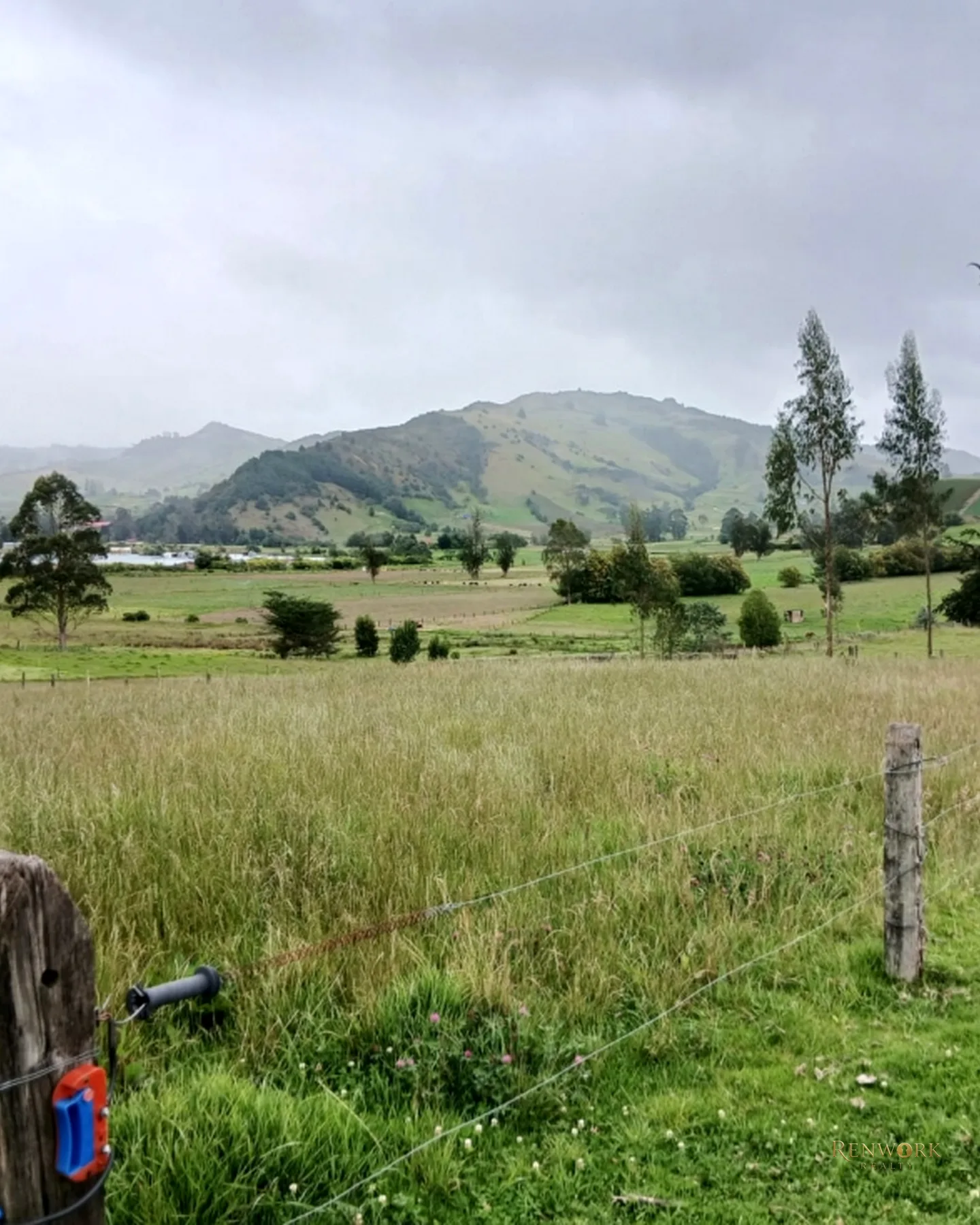 FINCA 55 FANEGADAS EN CHOCONTÁ | CON 200 RESES Y PUERTA CERRADA 🐄🌾 · foto 5