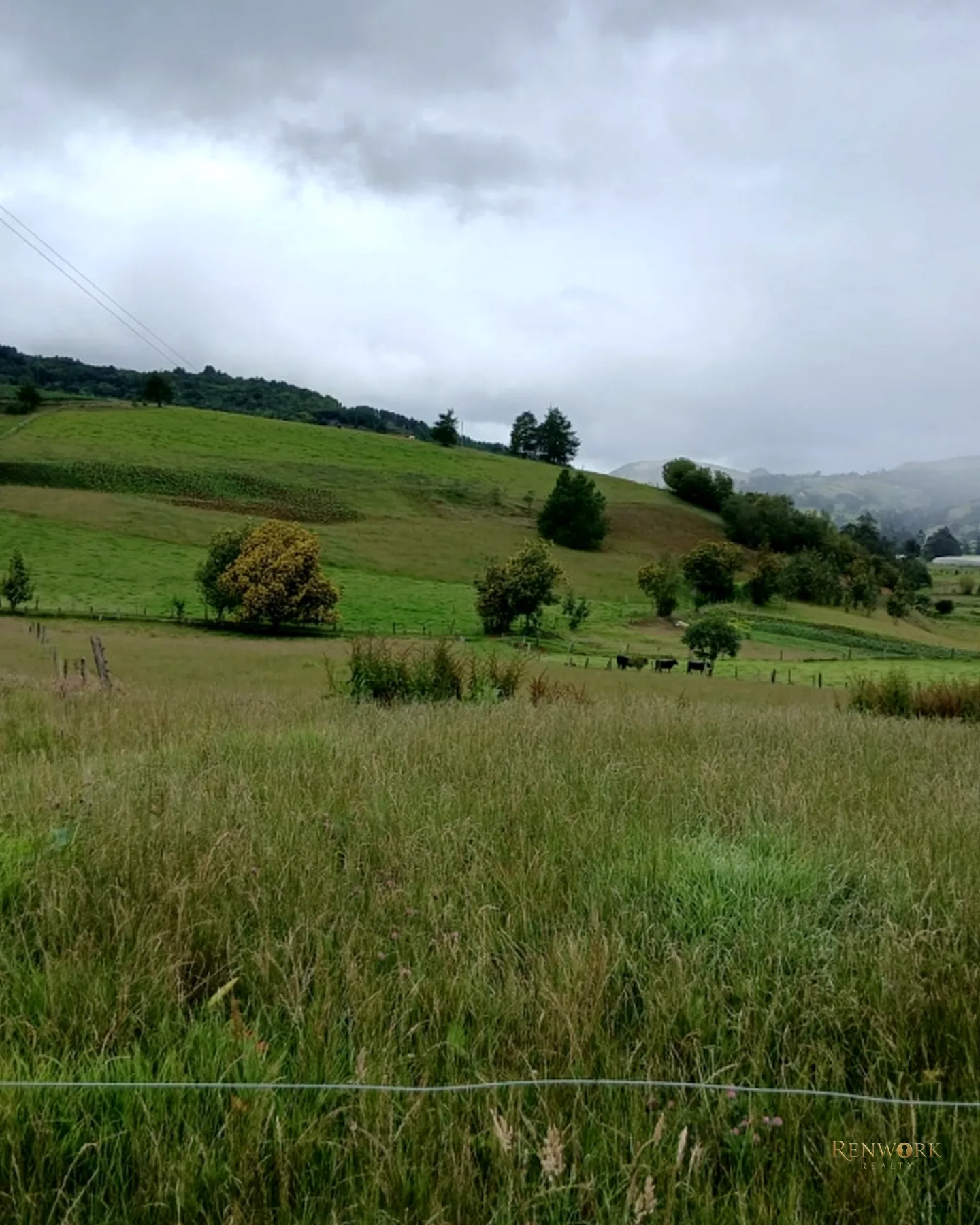 FINCA 55 FANEGADAS EN CHOCONTÁ | CON 200 RESES Y PUERTA CERRADA 🐄🌾 · foto 6