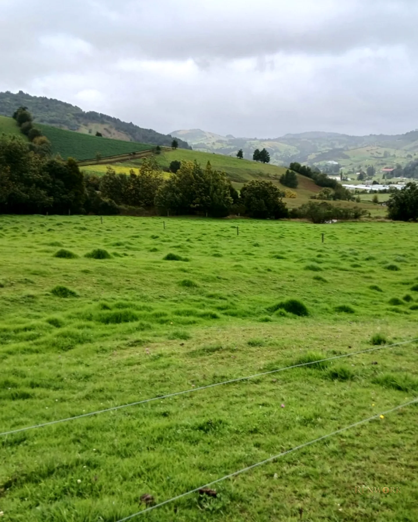 FINCA 55 FANEGADAS EN CHOCONTÁ | CON 200 RESES Y PUERTA CERRADA 🐄🌾 · foto 10