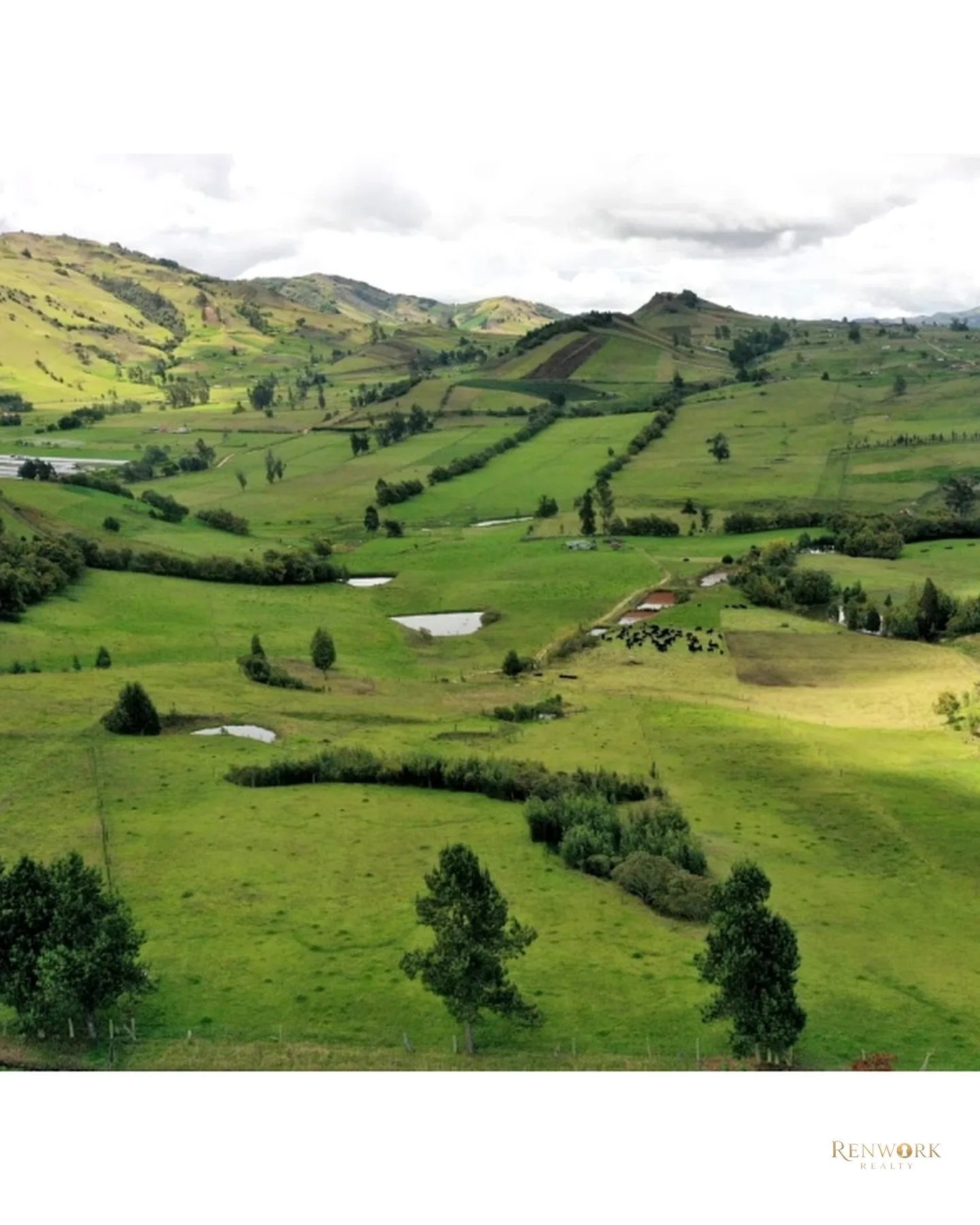 FINCA 55 FANEGADAS EN CHOCONTÁ | CON 200 RESES Y PUERTA CERRADA 🐄🌾 · foto 3