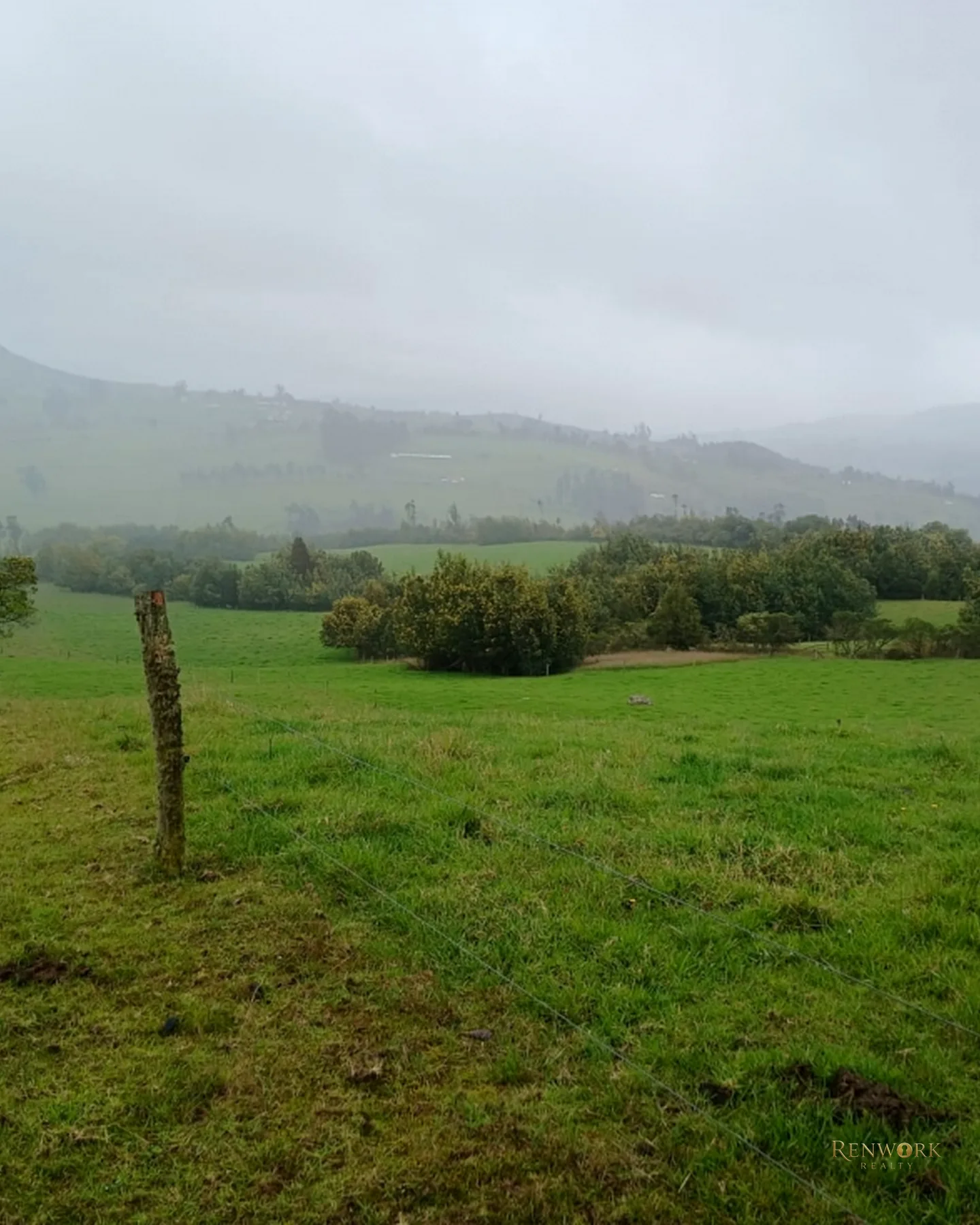 FINCA 55 FANEGADAS EN CHOCONTÁ | CON 200 RESES Y PUERTA CERRADA 🐄🌾 · foto 9