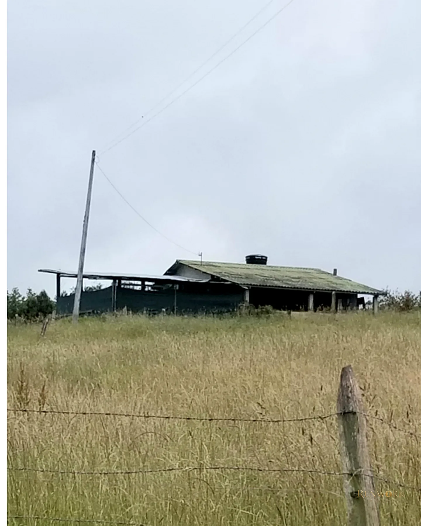 FINCA 55 FANEGADAS EN CHOCONTÁ | CON 200 RESES Y PUERTA CERRADA 🐄🌾 · foto 7