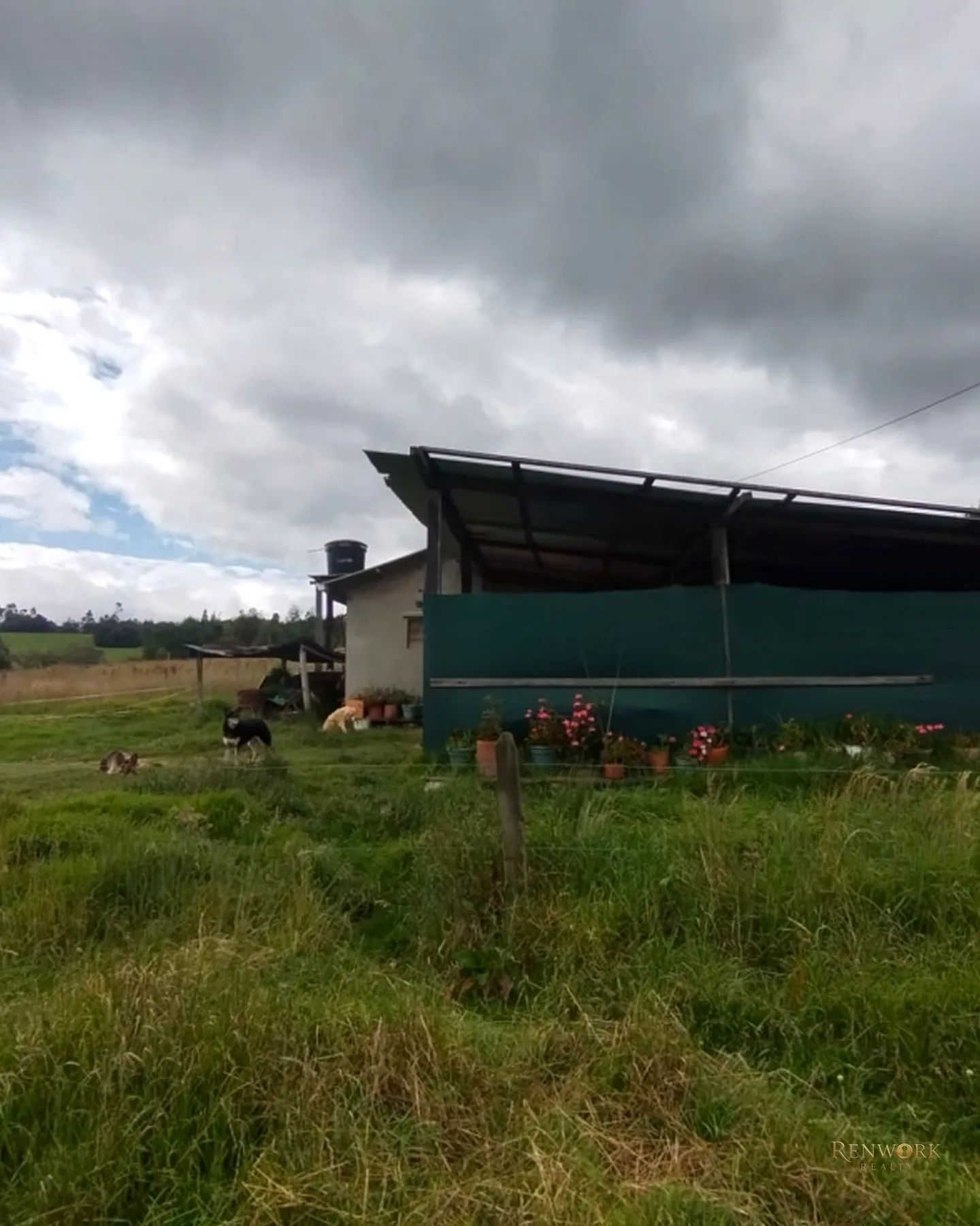 FINCA 55 FANEGADAS EN CHOCONTÁ | CON 200 RESES Y PUERTA CERRADA 🐄🌾 · foto 8
