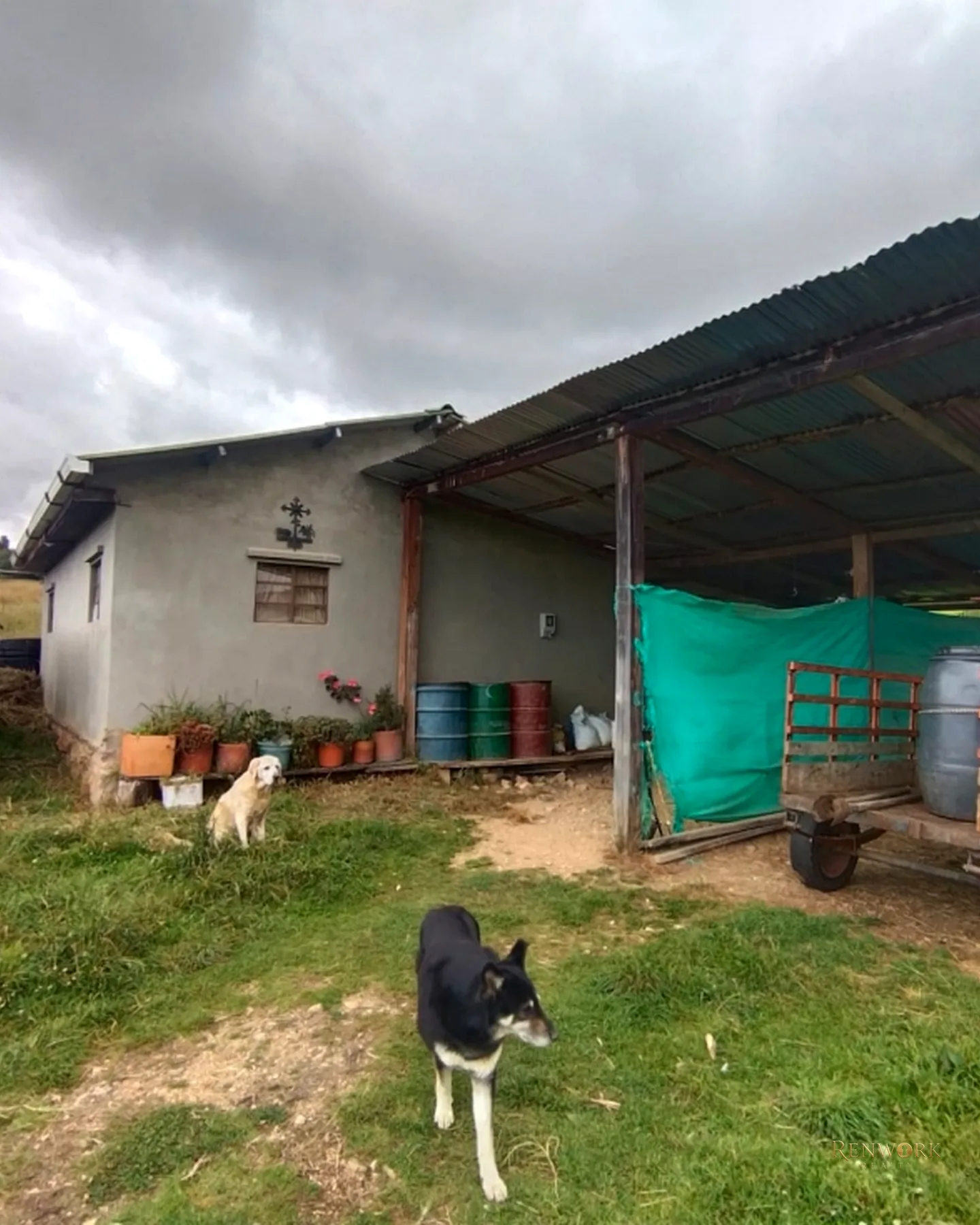 FINCA 55 FANEGADAS EN CHOCONTÁ | CON 200 RESES Y PUERTA CERRADA 🐄🌾 · foto 2