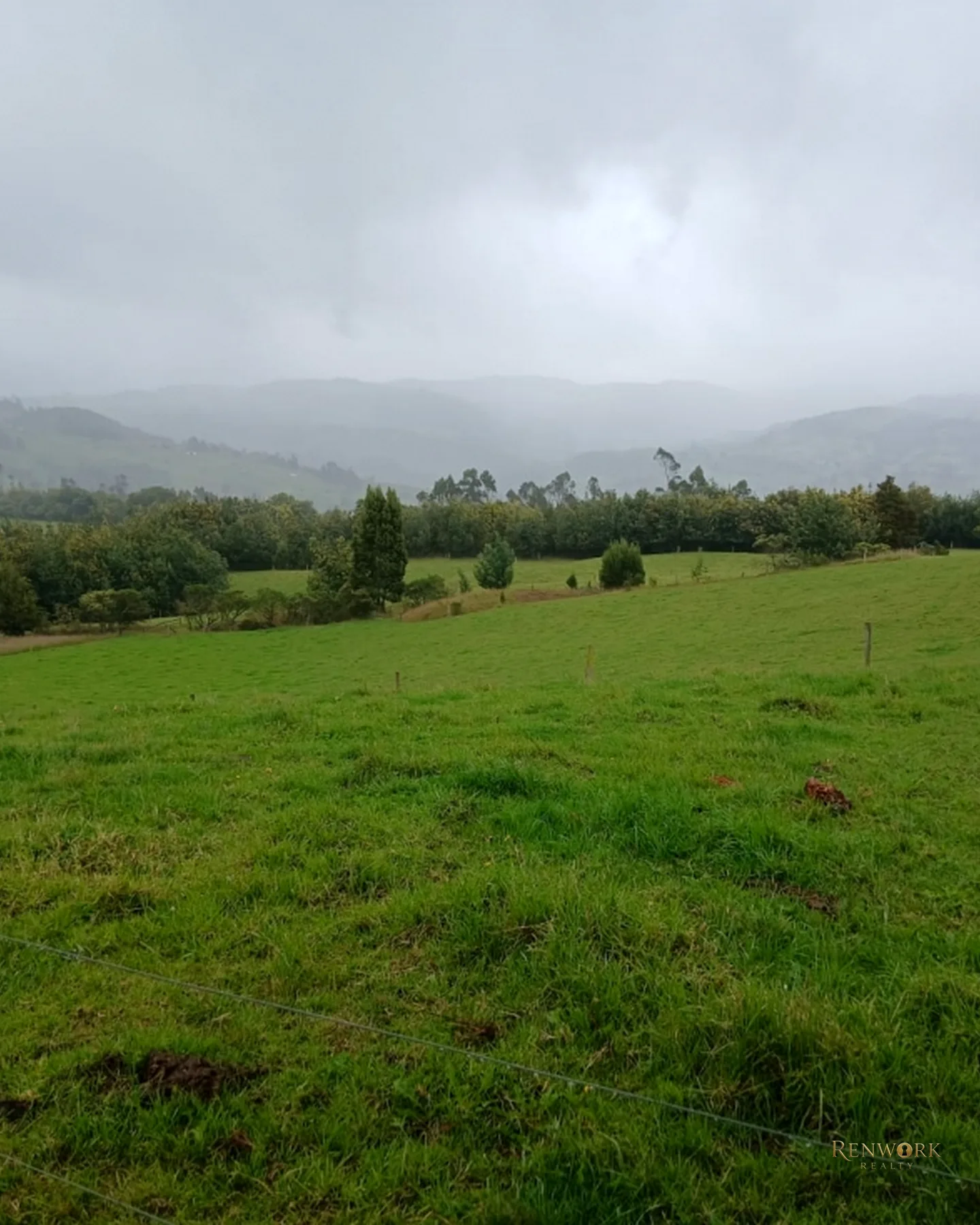 FINCA 55 FANEGADAS EN CHOCONTÁ | CON 200 RESES Y PUERTA CERRADA 🐄🌾 · foto 13