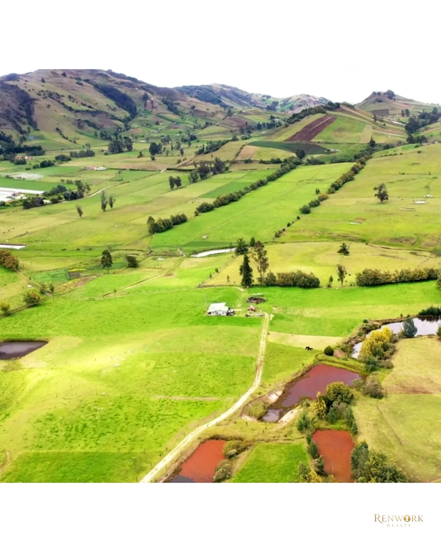 FINCA 55 FANEGADAS EN CHOCONTÁ | CON 200 RESES Y PUERTA CERRADA 🐄🌾 · foto 4