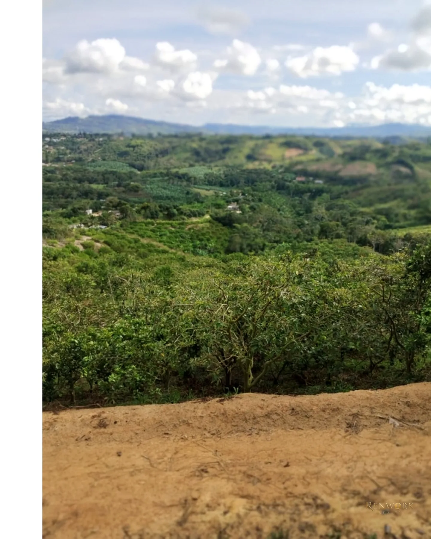 FINCA 7.8HA EN BUCARAMANGA VEREDA PUYANA | LAGOS, CÍTRICOS Y RENTA 🍋✨ · foto 22