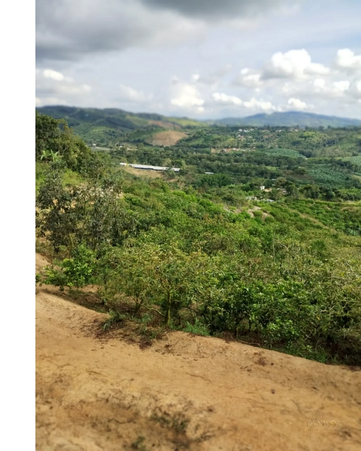 FINCA 7.8HA EN BUCARAMANGA VEREDA PUYANA | LAGOS, CÍTRICOS Y RENTA 🍋✨ · foto 2