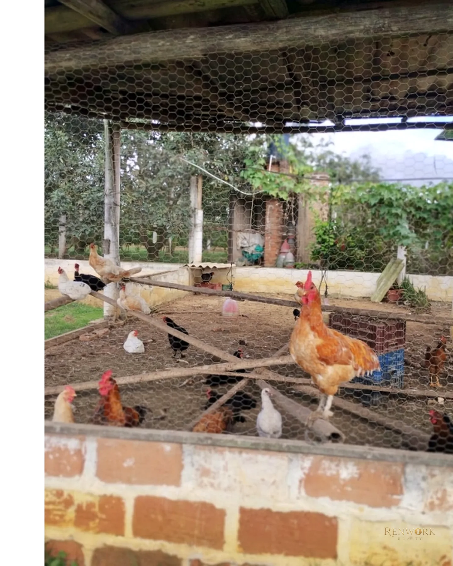 FINCA 7.8HA EN BUCARAMANGA VEREDA PUYANA | LAGOS, CÍTRICOS Y RENTA 🍋✨ · foto 9