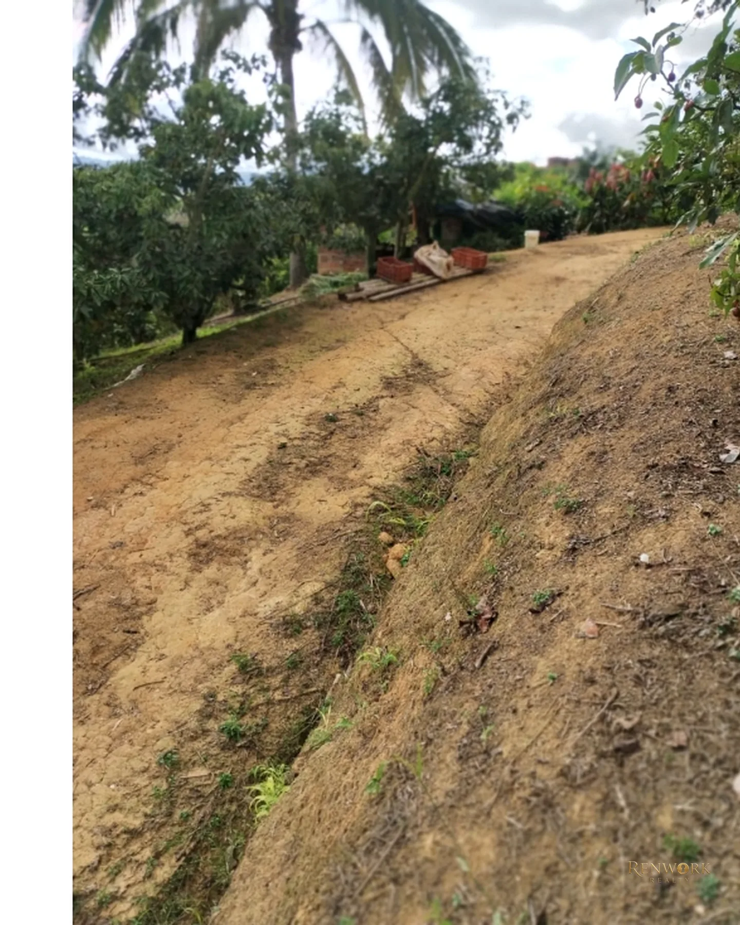 FINCA 7.8HA EN BUCARAMANGA VEREDA PUYANA | LAGOS, CÍTRICOS Y RENTA 🍋✨ · foto 21