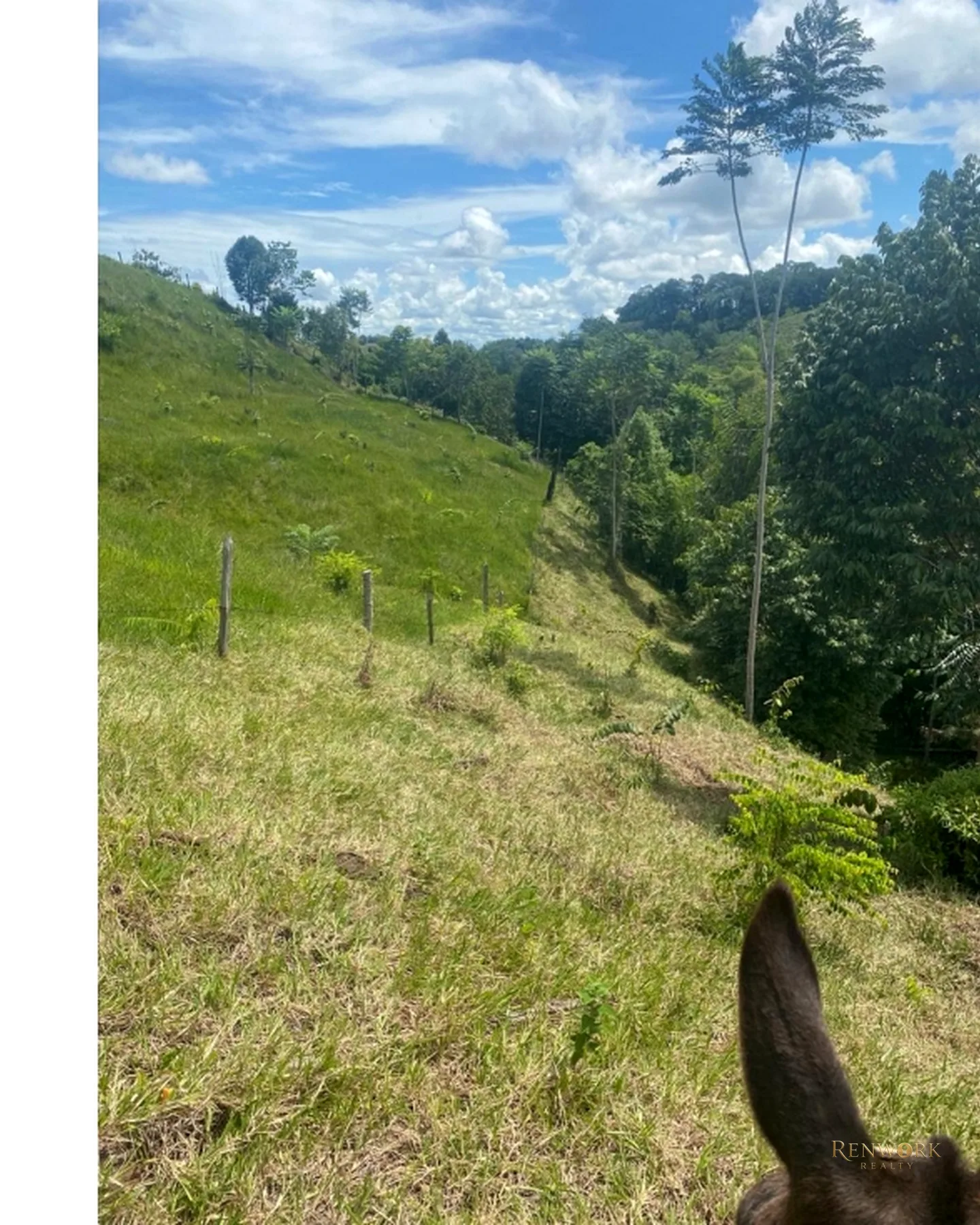 FINCA 97HA EN PUERTO PARRA | FRENTE A PANAMERICANA E INFRAESTRUCTURA · foto 8