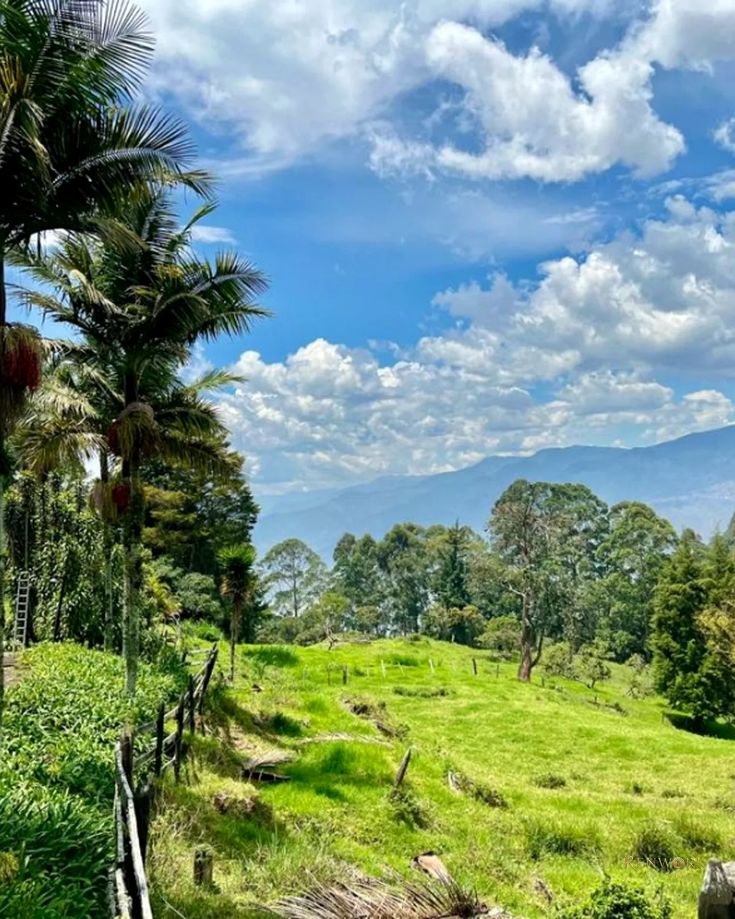 FINCA A 15 MINUTOS DE LA MEDELLÍN CON VISTA A LA CIUDAD 63.829 MTR · foto 13