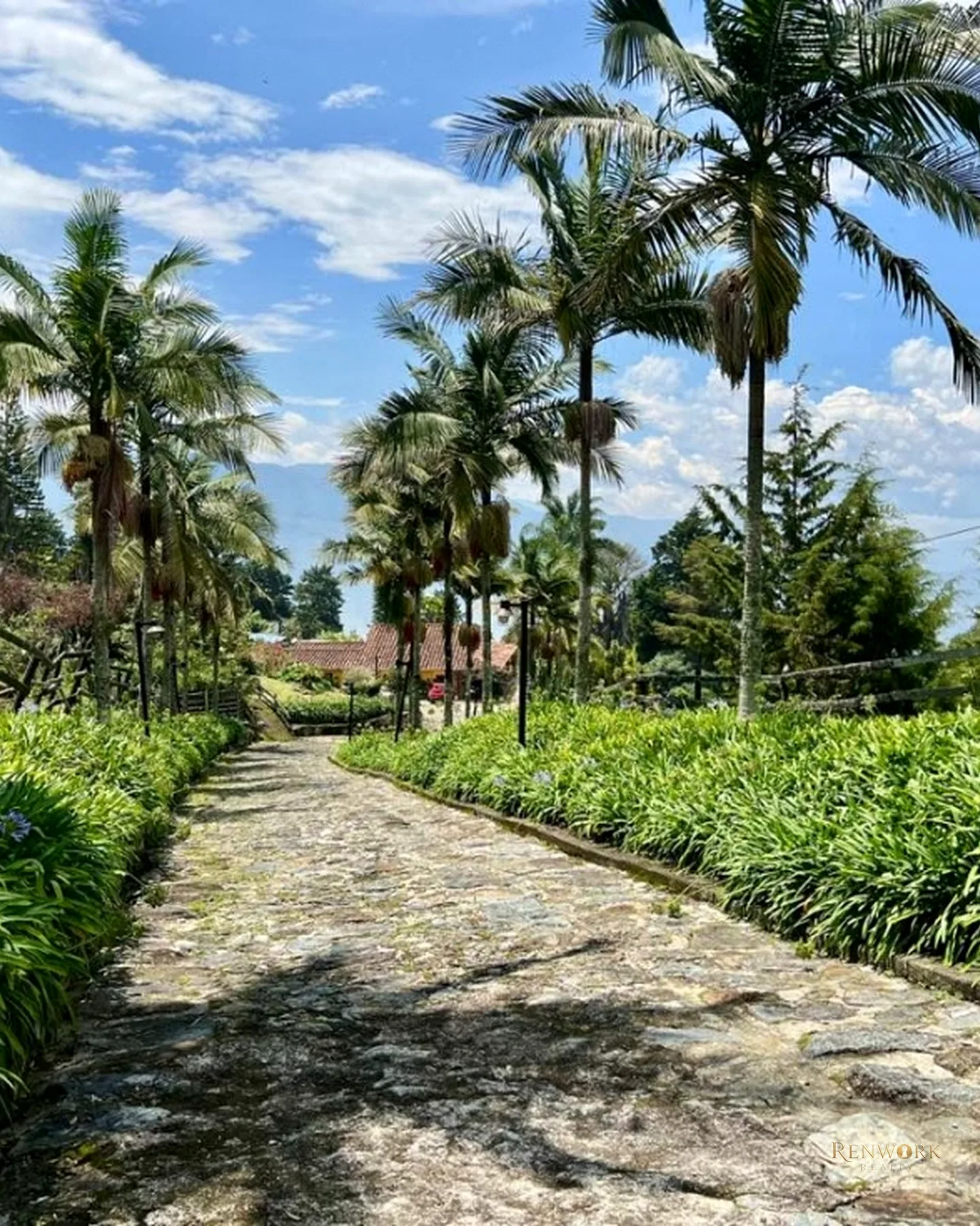 FINCA A 15 MINUTOS DE LA MEDELLÍN CON VISTA A LA CIUDAD 63.829 MTR · foto 5