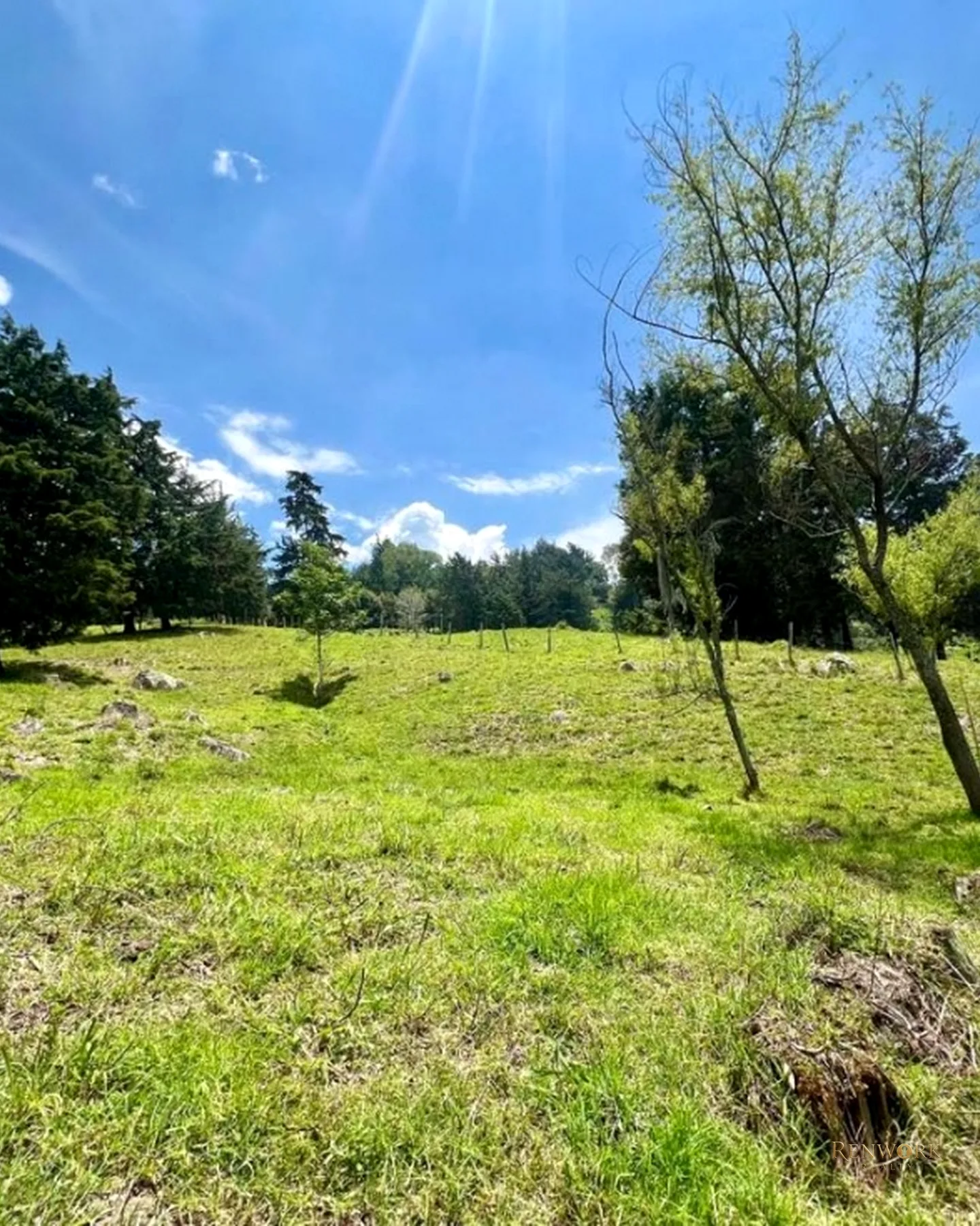 FINCA A 15 MINUTOS DE LA MEDELLÍN CON VISTA A LA CIUDAD 63.829 MTR · foto 20