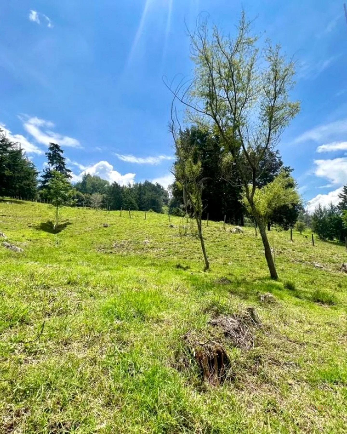 FINCA A 15 MINUTOS DE LA MEDELLÍN CON VISTA A LA CIUDAD 63.829 MTR · foto 15