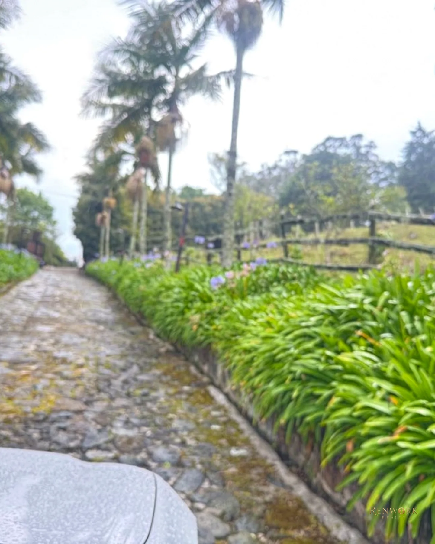 FINCA A 15 MINUTOS DE LA MEDELLÍN CON VISTA A LA CIUDAD 63.829 MTR · foto 21