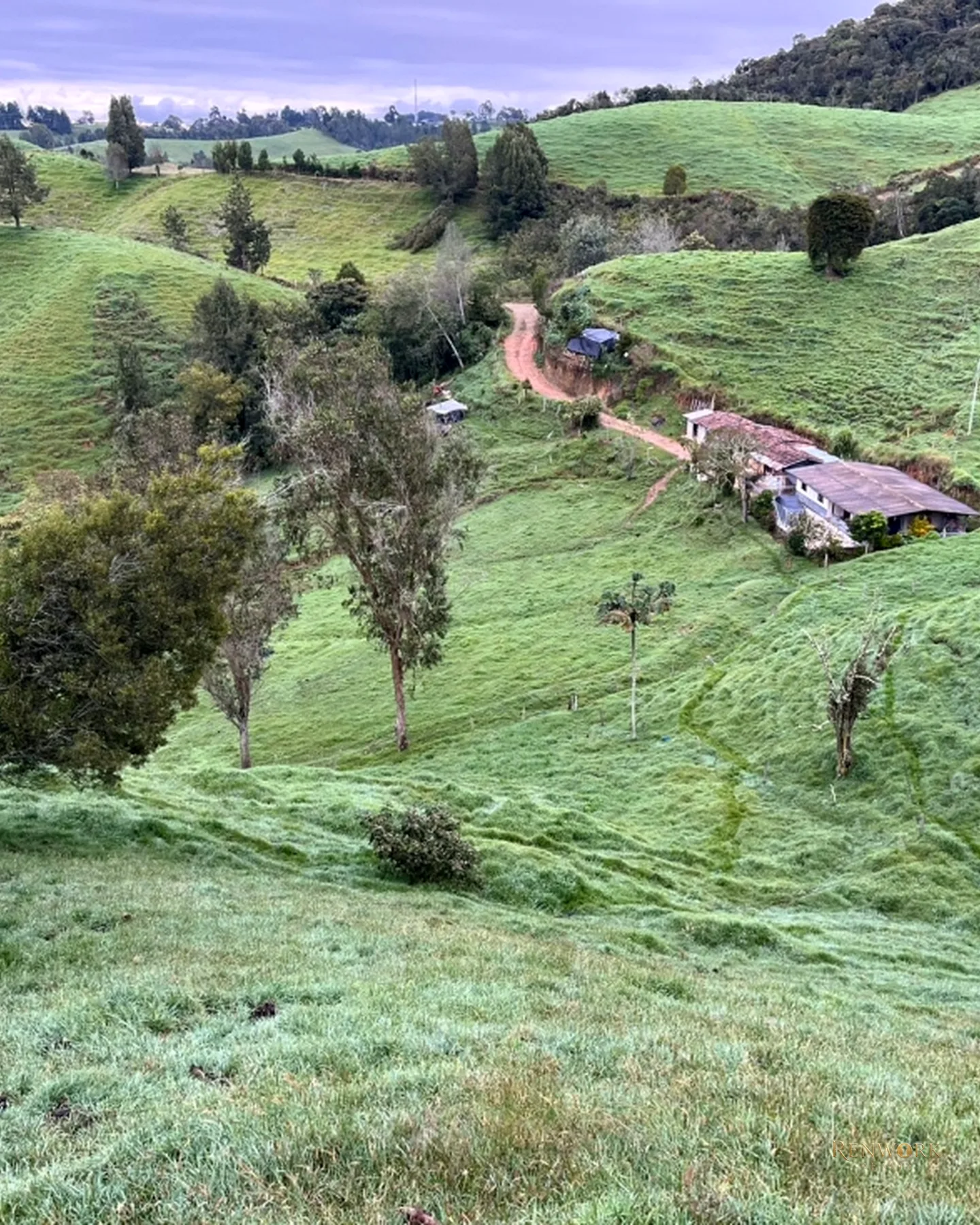 FINCA AGROINDUSTRIAL EN VENTA SANTA ROSA DE OSOS 31.5 HA · foto 6