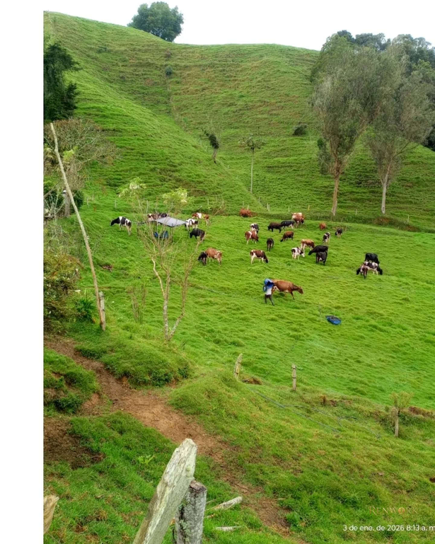 FINCA AGROINDUSTRIAL EN VENTA SANTA ROSA DE OSOS 31.5 HA · foto 4