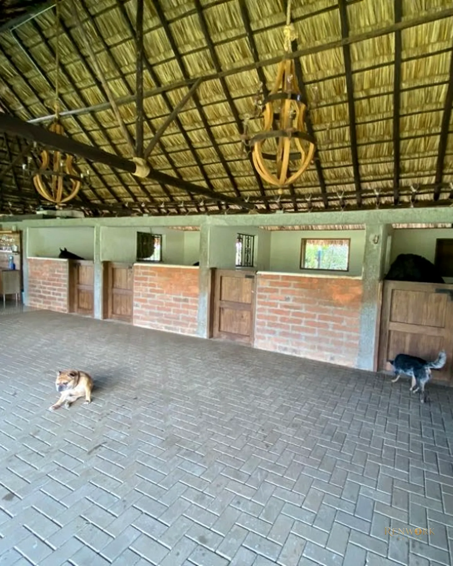FINCA CABALLISTA A 6 MINUTOS DEL AEROPUERTO JMC LA MOSQUITA GUARNE · foto 11