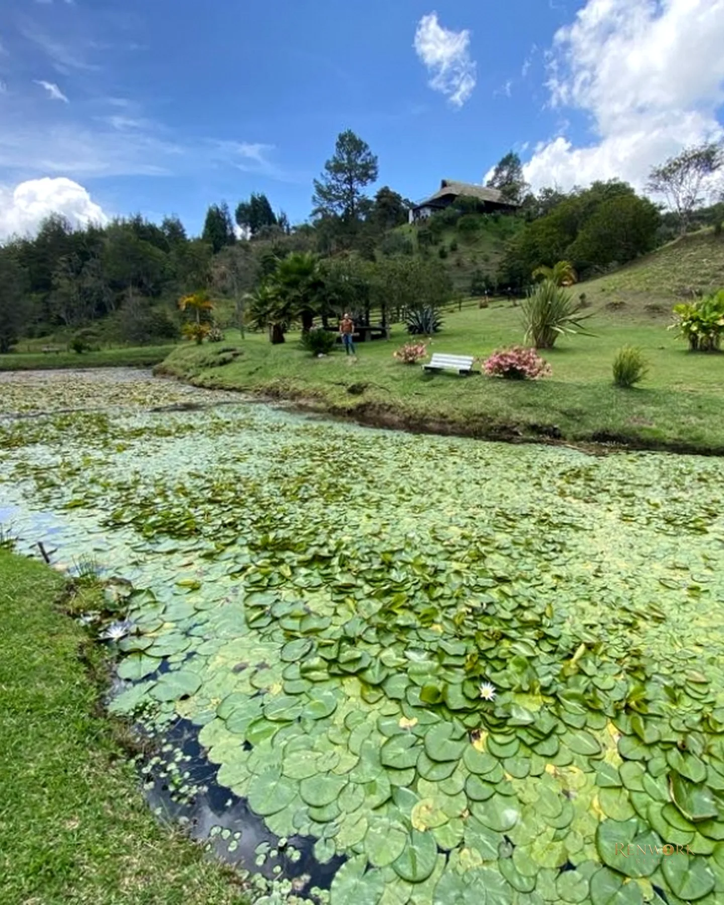 FINCA CABALLISTA A 6 MINUTOS DEL AEROPUERTO JMC LA MOSQUITA GUARNE · foto 12
