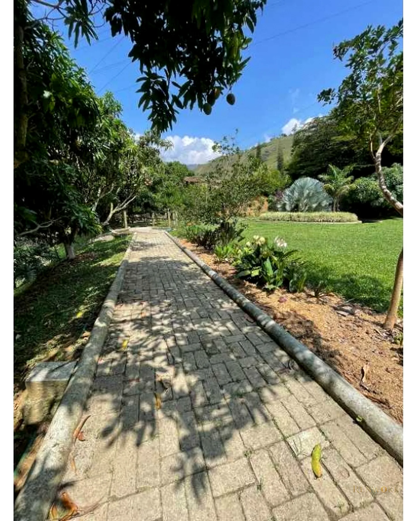 FINCA CABALLISTA EN BARBOSA · foto 13
