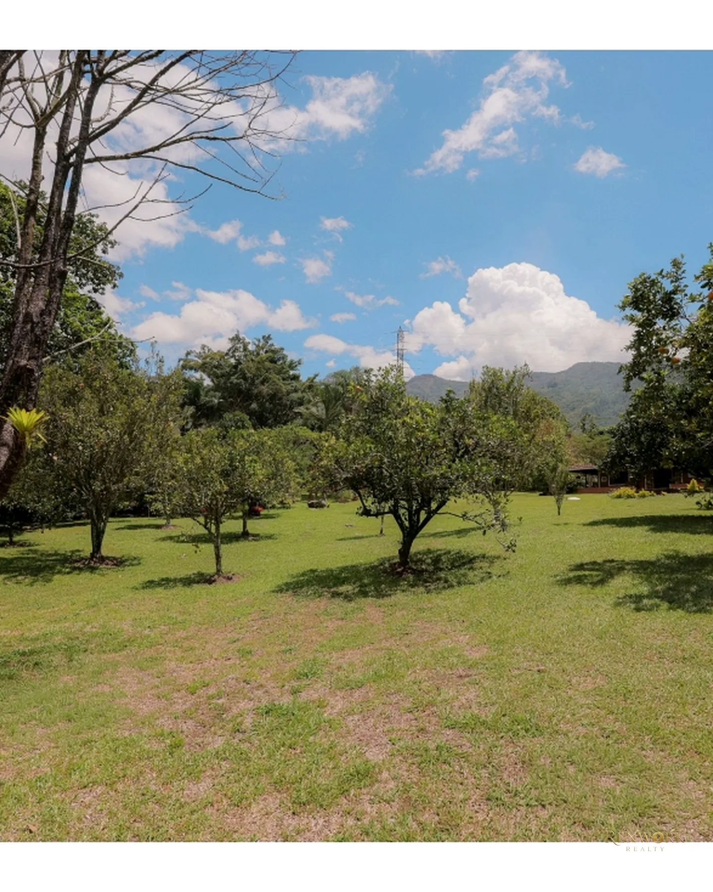 FINCA DE RECREO EN VENTA EN BARBOSA · foto 17