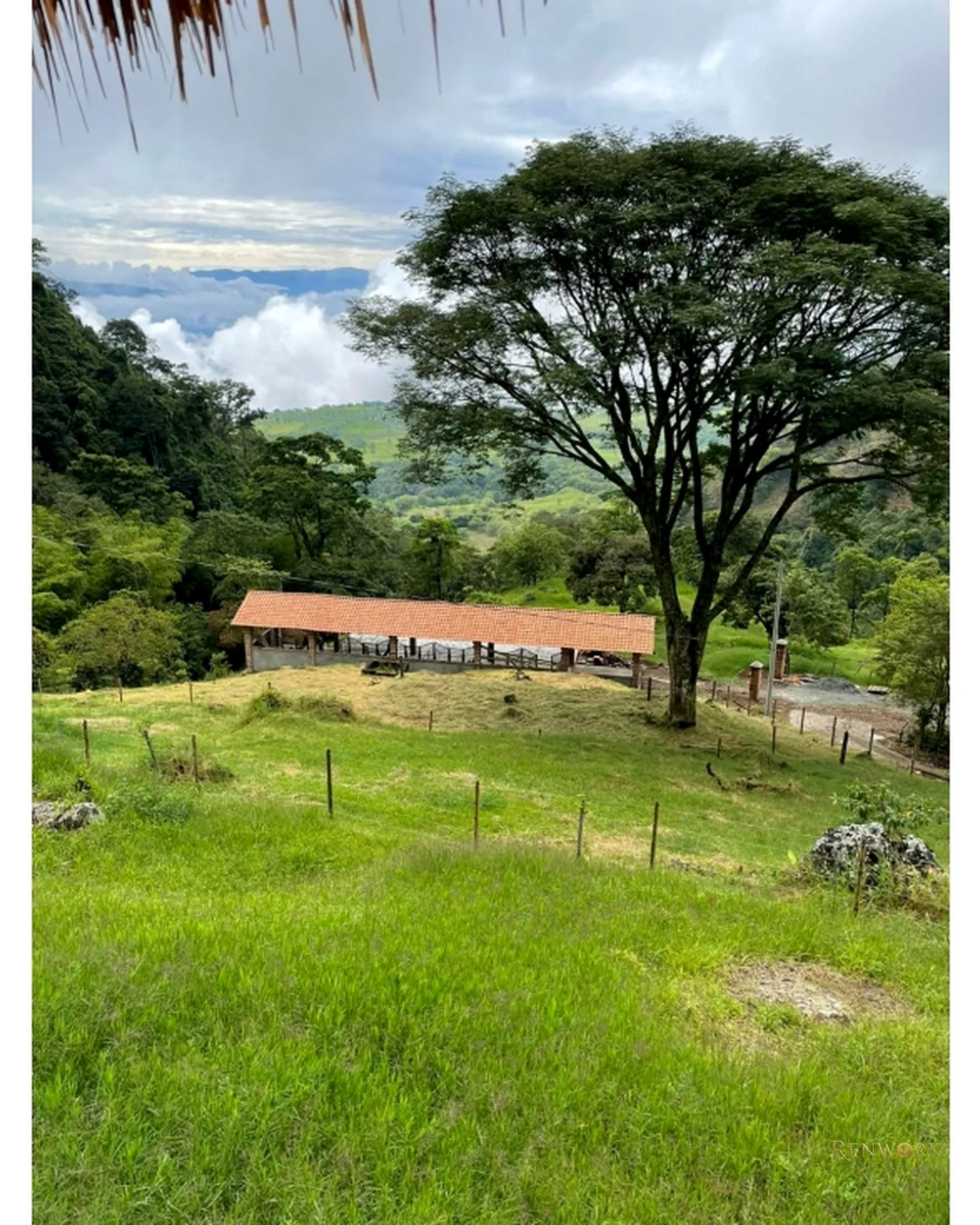 FINCA EN TARSO CON CABALLERIZAS CERCA A JERICÓ · foto 6
