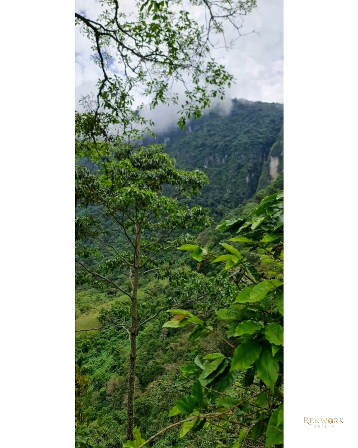 FINCA EN TARSO CON CABALLERIZAS CERCA A JERICÓ · foto 10