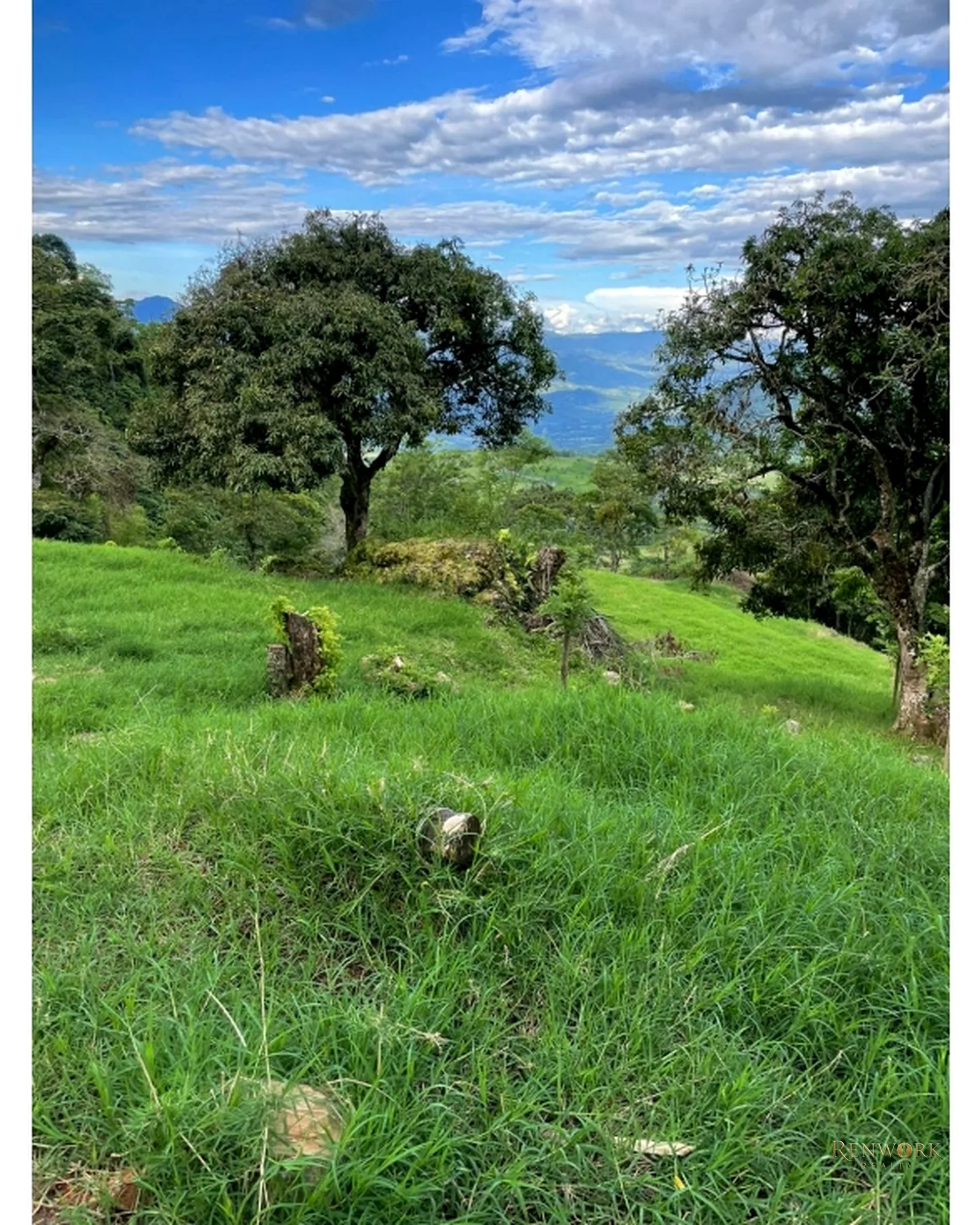 FINCA EN TARSO CON CABALLERIZAS CERCA A JERICÓ · foto 7