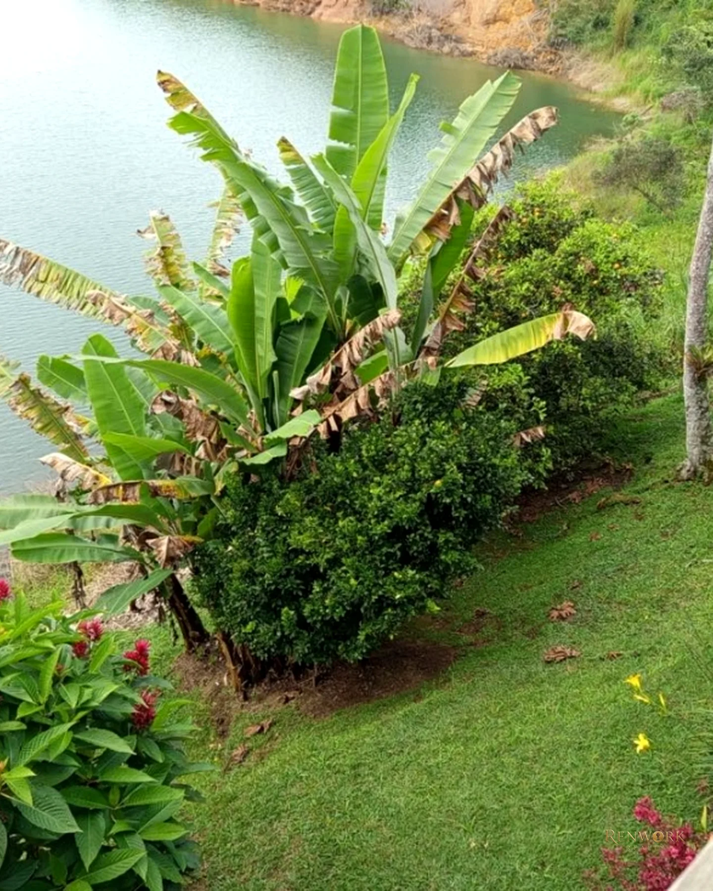 FINCA EN VENTA EL PEÑOL CON EMBALSE PERMITE RENTAS CORTAS · foto 19