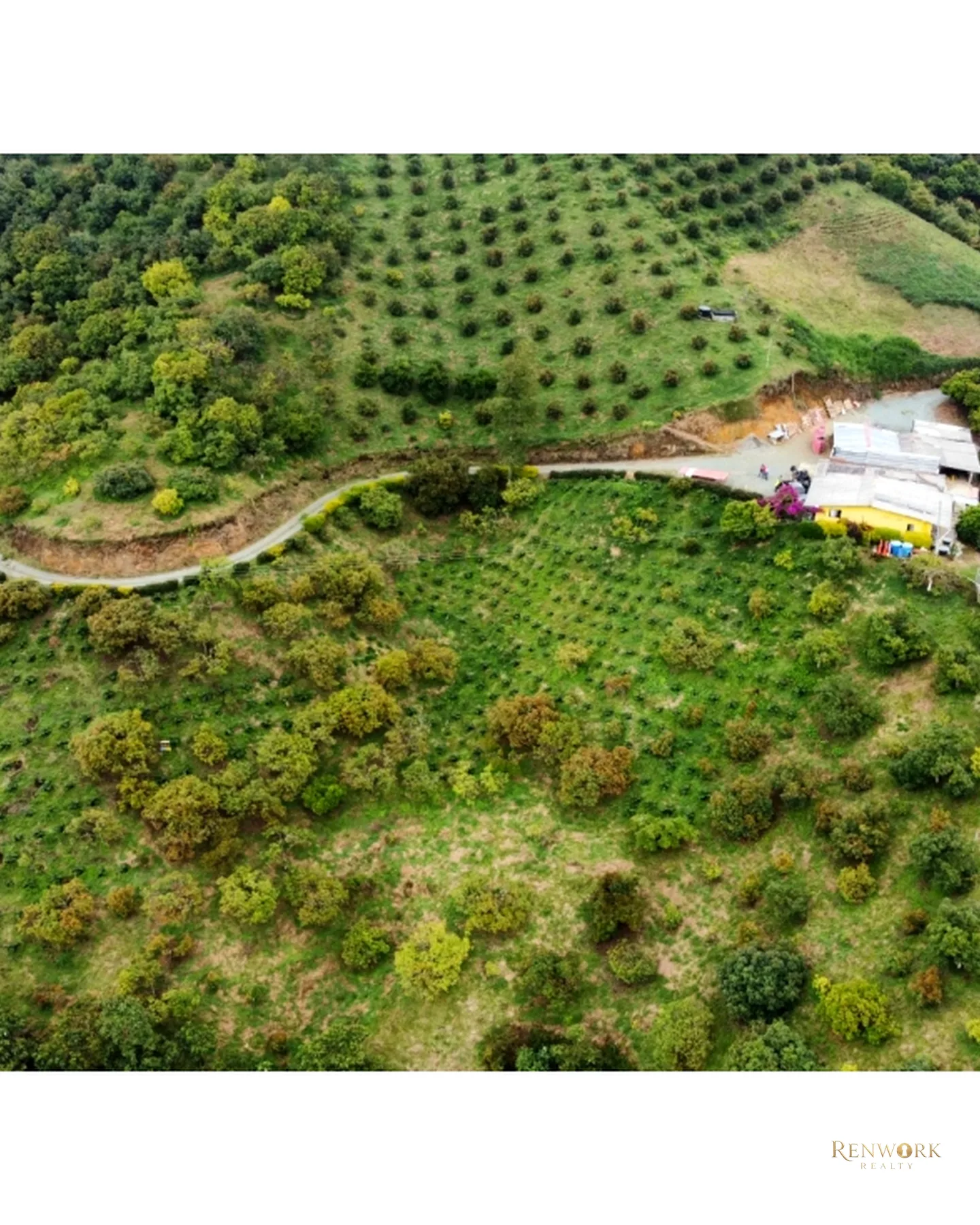 FINCA EN VENTA EN AGUADAS, CALDAS · foto 21