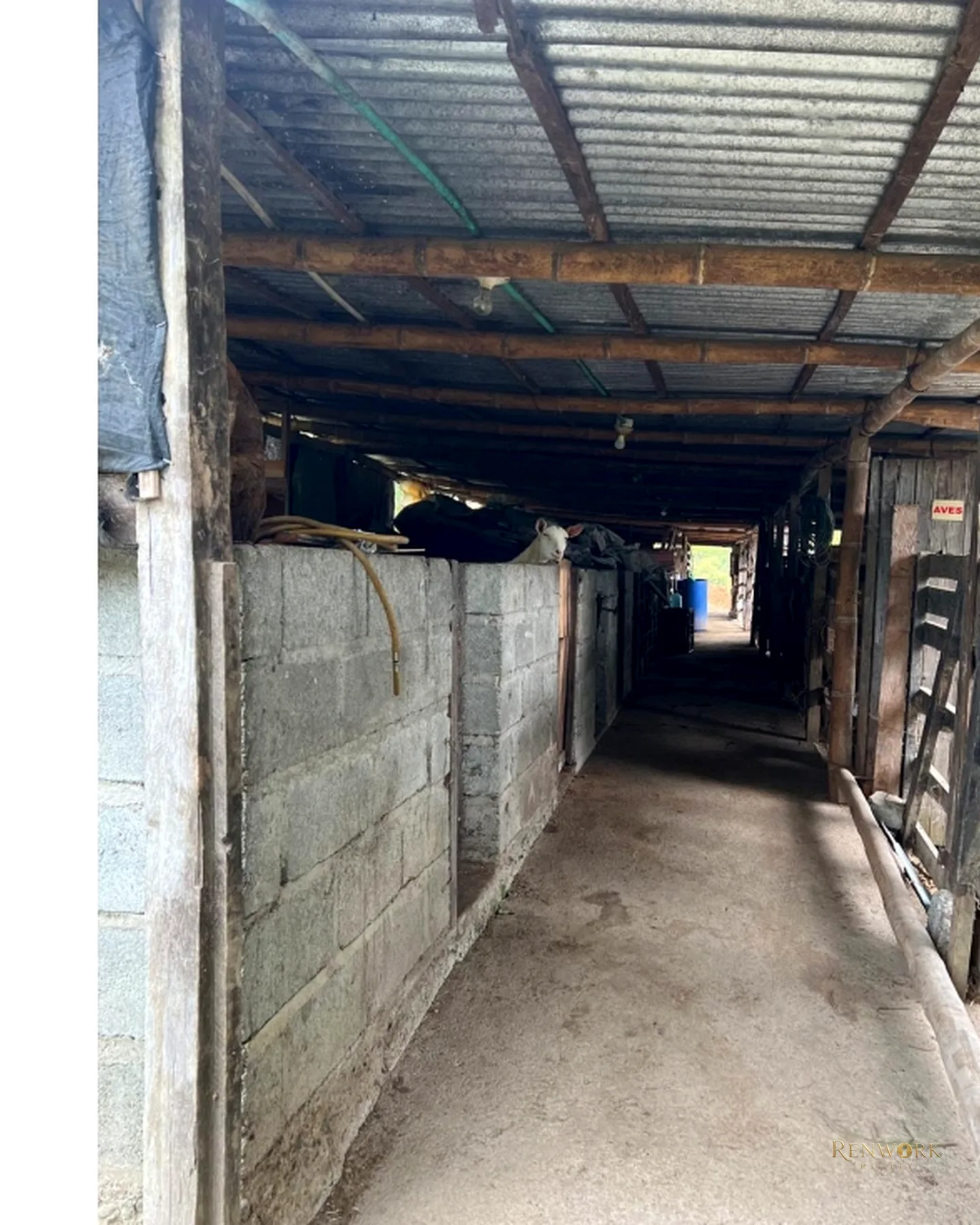 FINCA EN VENTA EN AGUADAS, CALDAS · foto 12