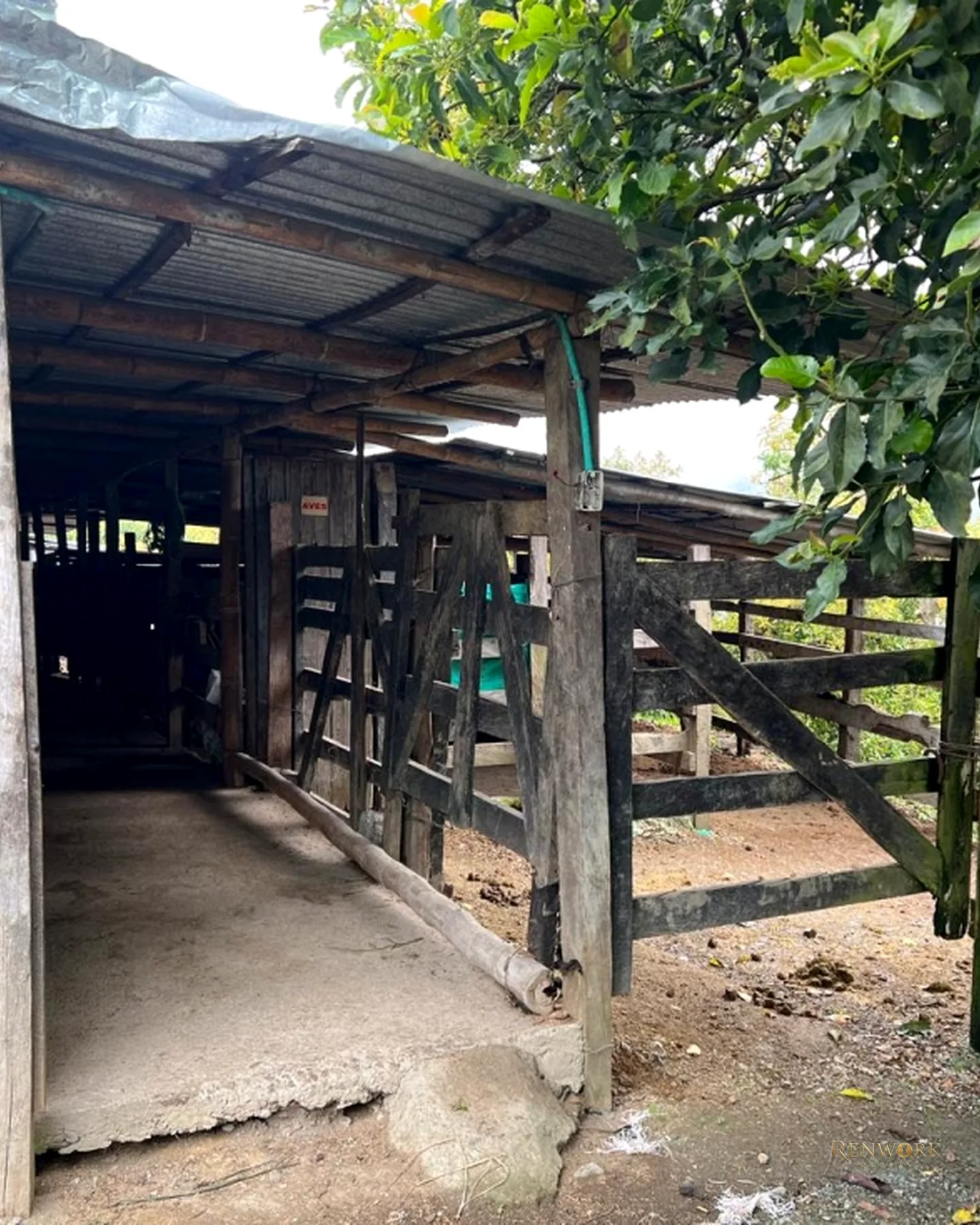 FINCA EN VENTA EN AGUADAS, CALDAS · foto 16