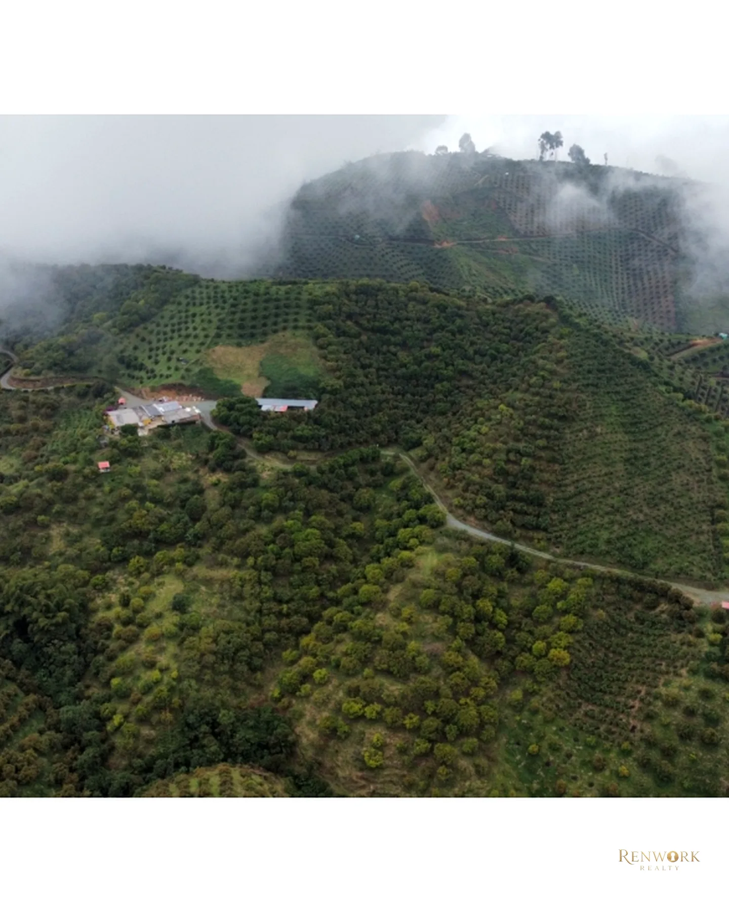 FINCA EN VENTA EN AGUADAS, CALDAS · foto 6