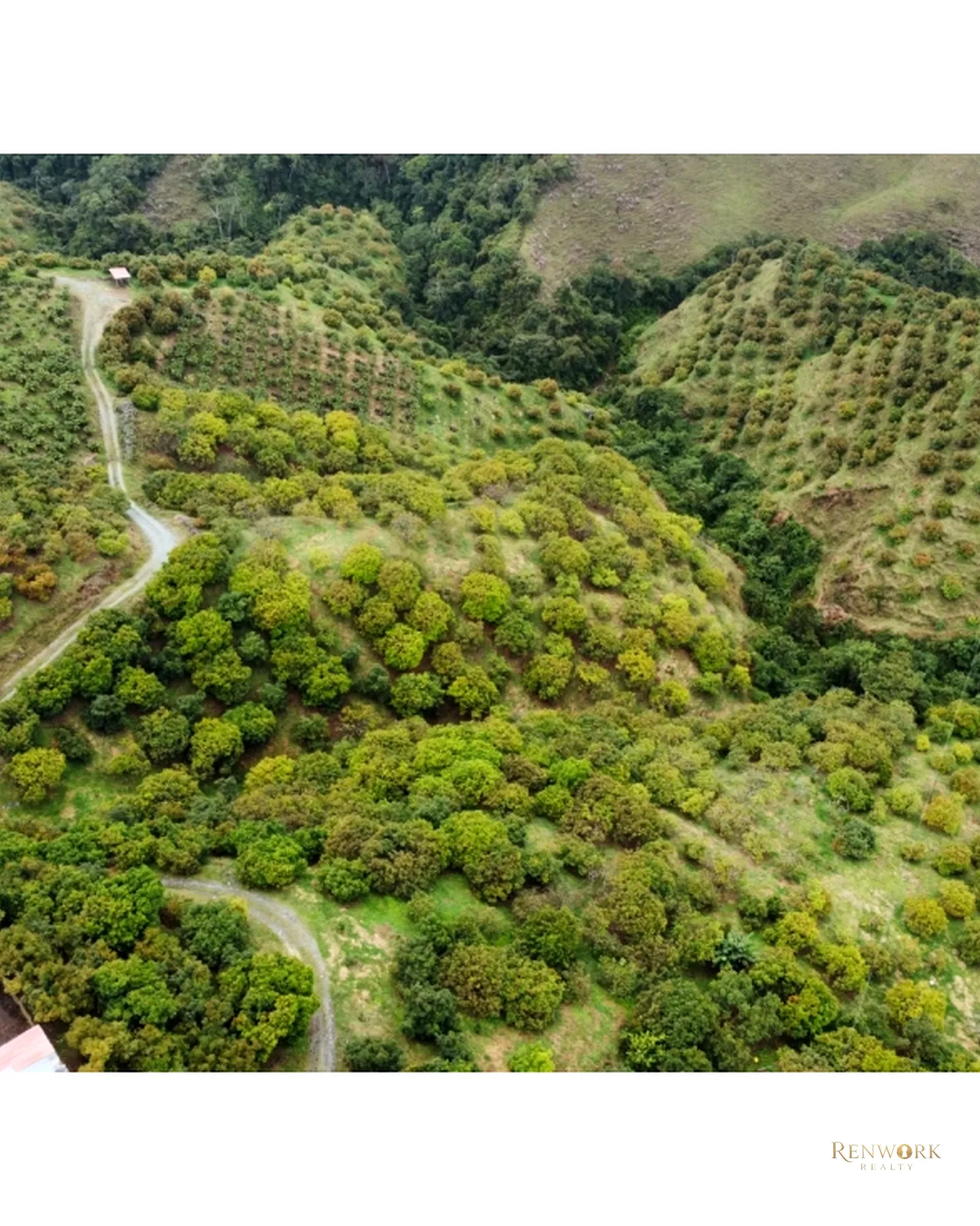 FINCA EN VENTA EN AGUADAS, CALDAS · foto 22