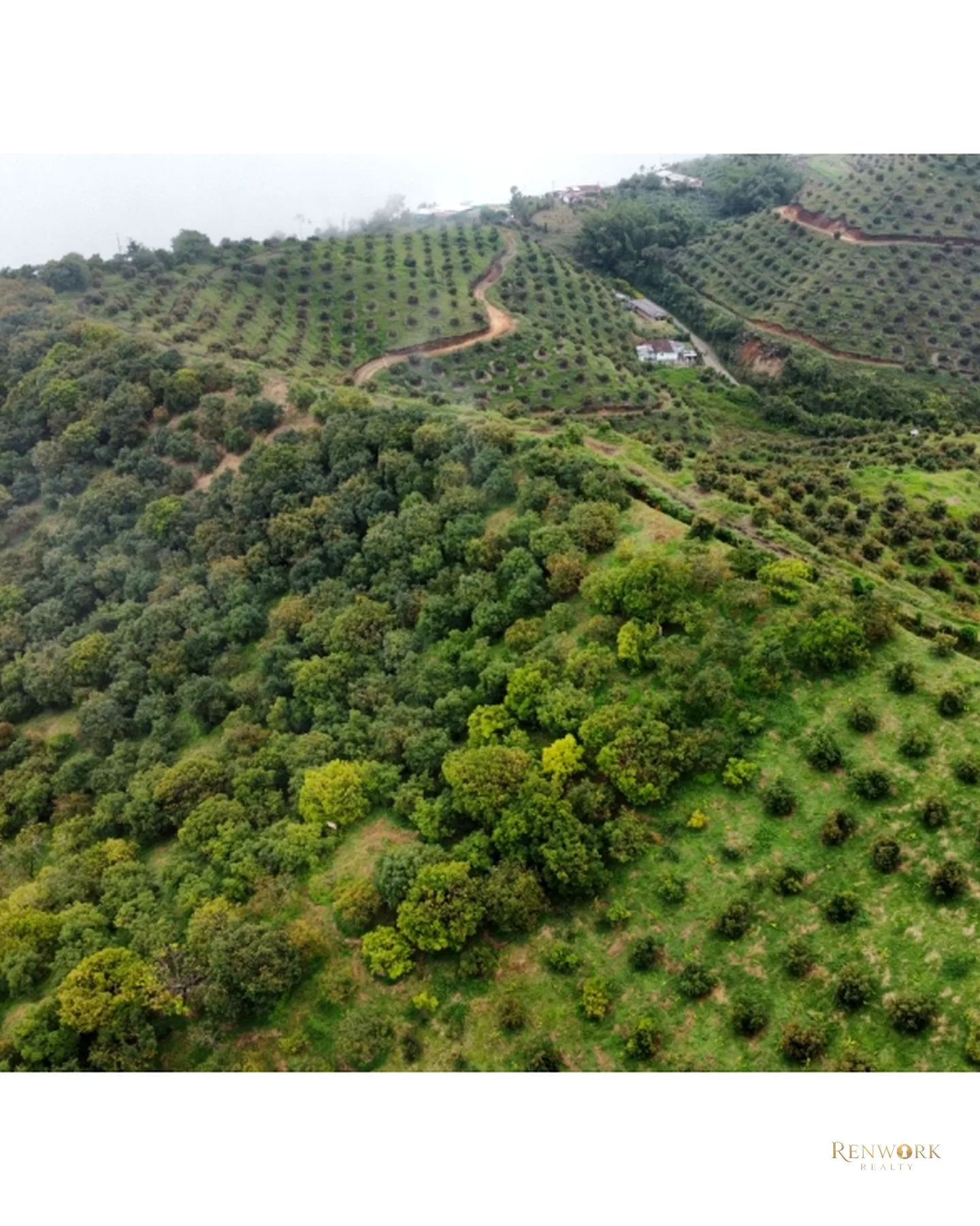 FINCA EN VENTA EN AGUADAS, CALDAS · foto 17