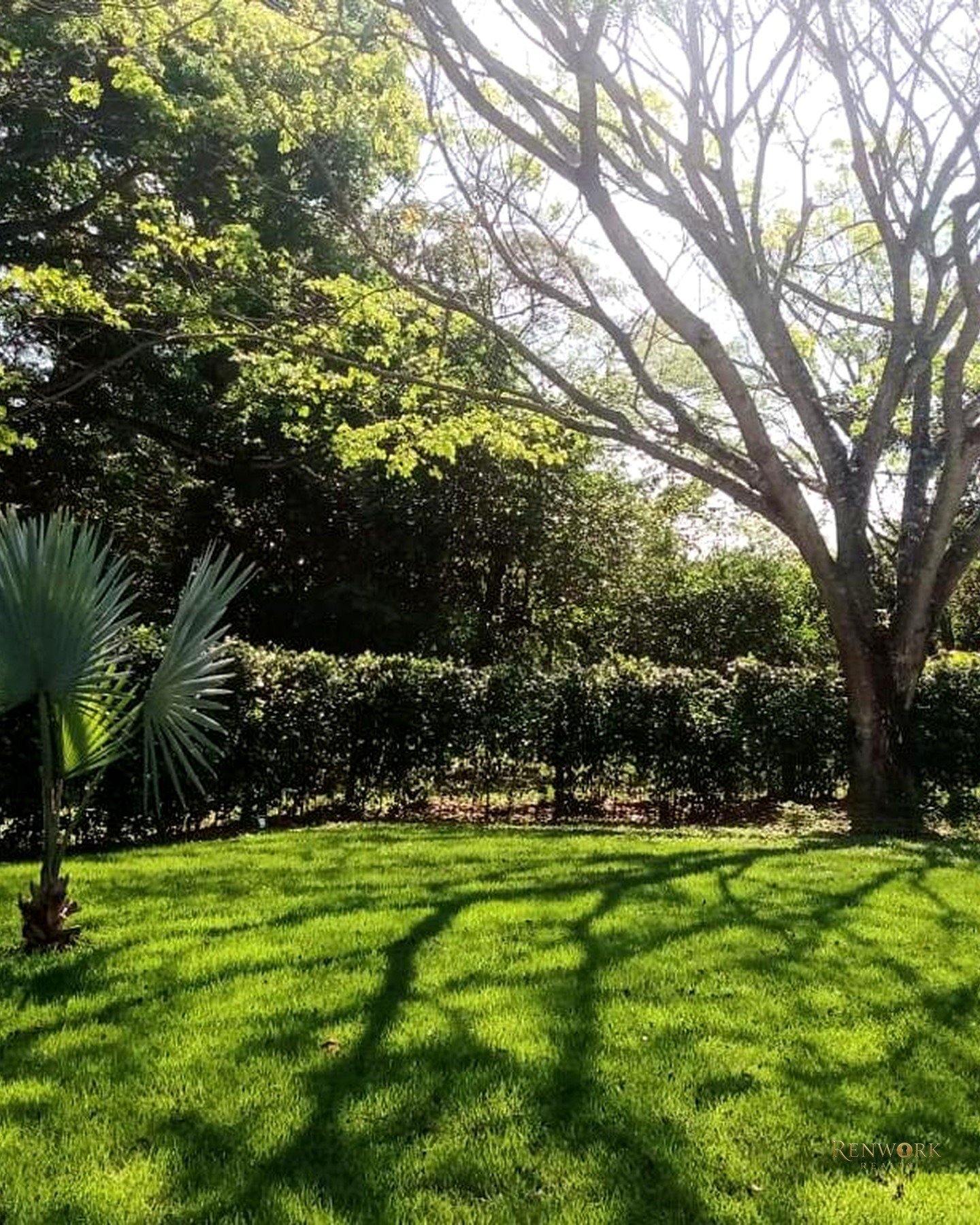 FINCA EN VENTA SOPETRAN ANTIOQUIA · foto 23