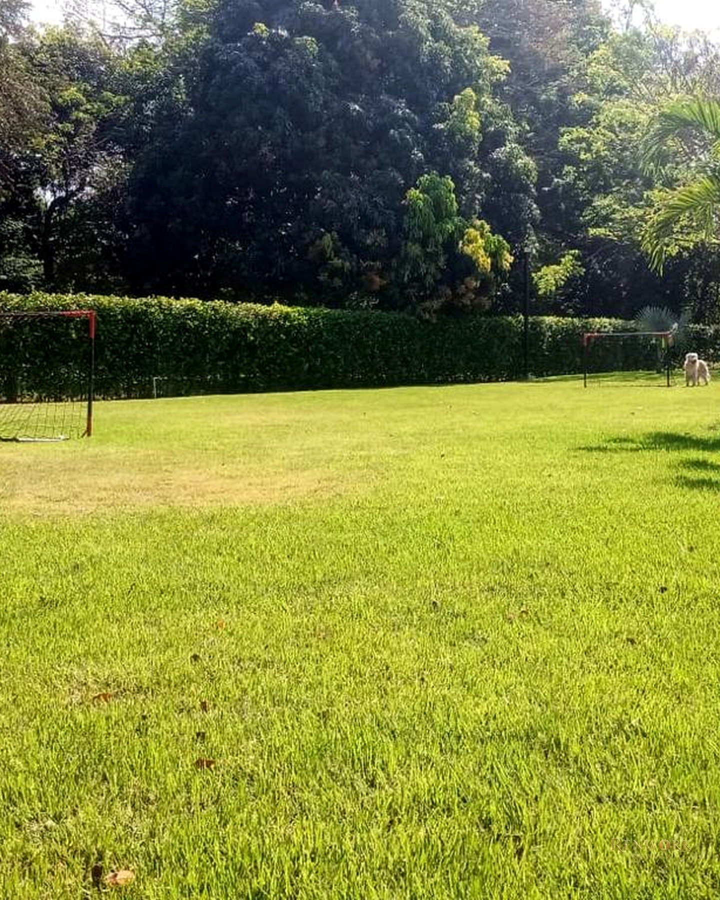 FINCA EN VENTA SOPETRAN ANTIOQUIA · foto 4