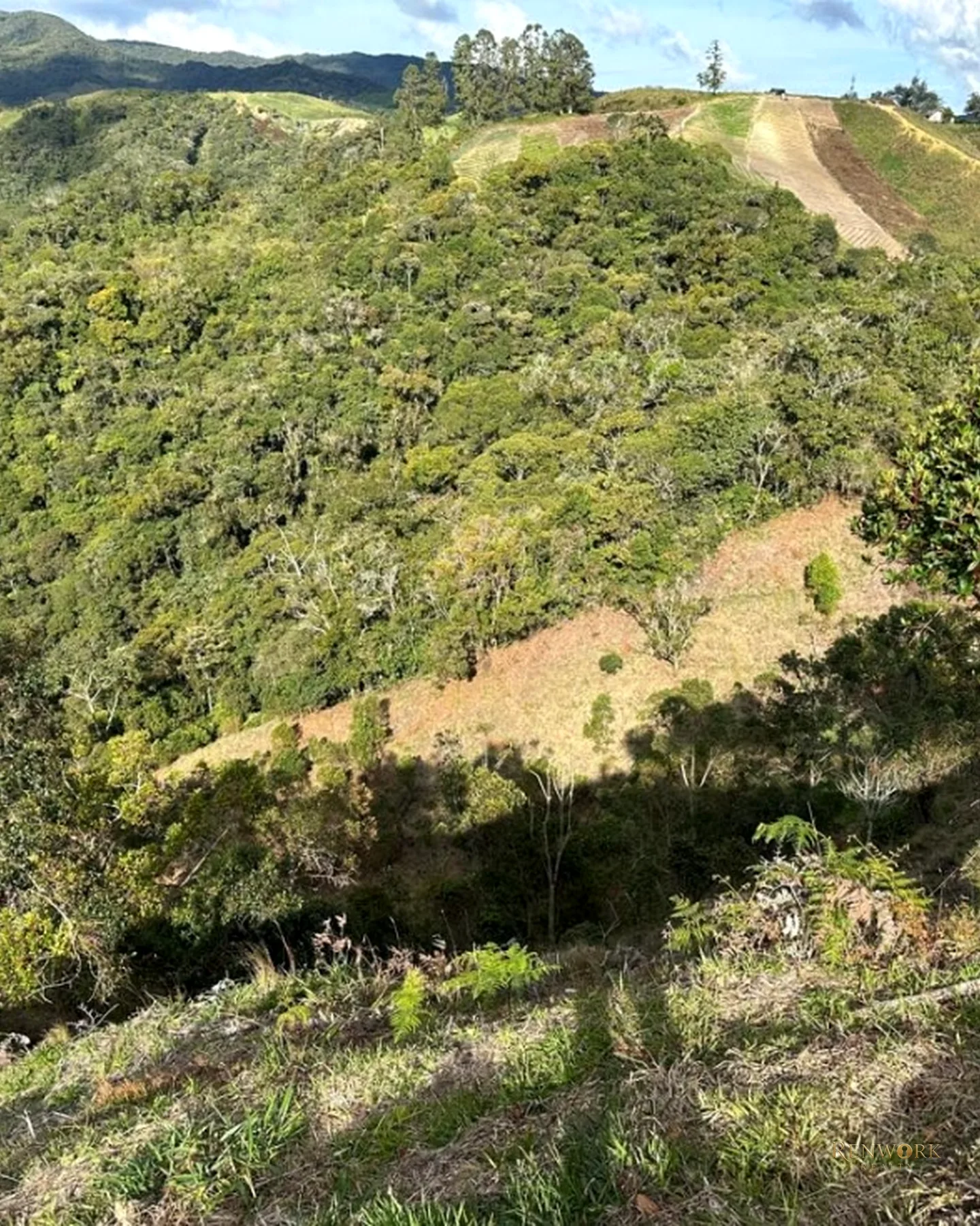 FINCA GANADERA A 4 KM DE LA UNION VEREDA MESOPOTAMIA · foto 17