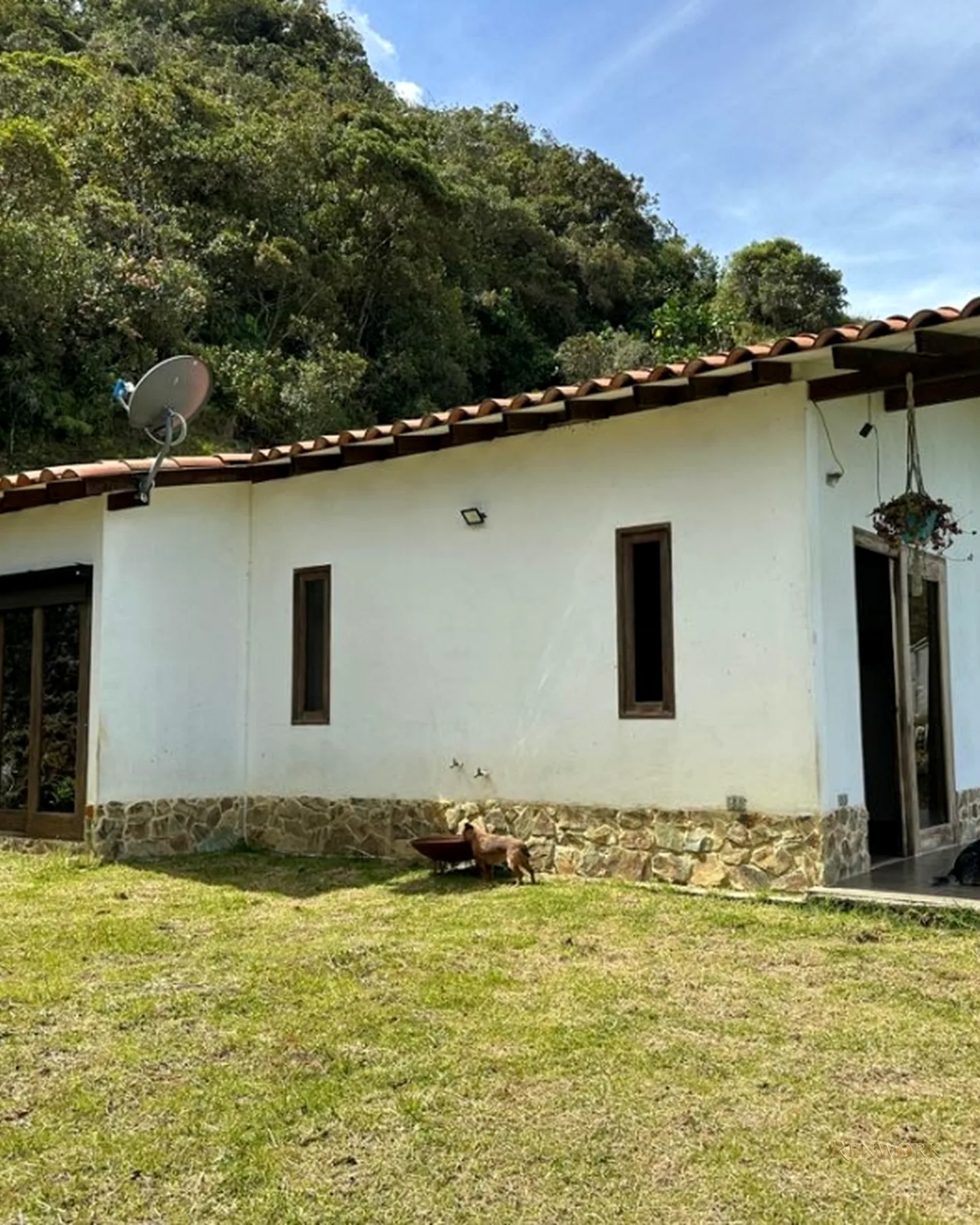 FINCA GANADERA A 4 KM DE LA UNION VEREDA MESOPOTAMIA · foto 20