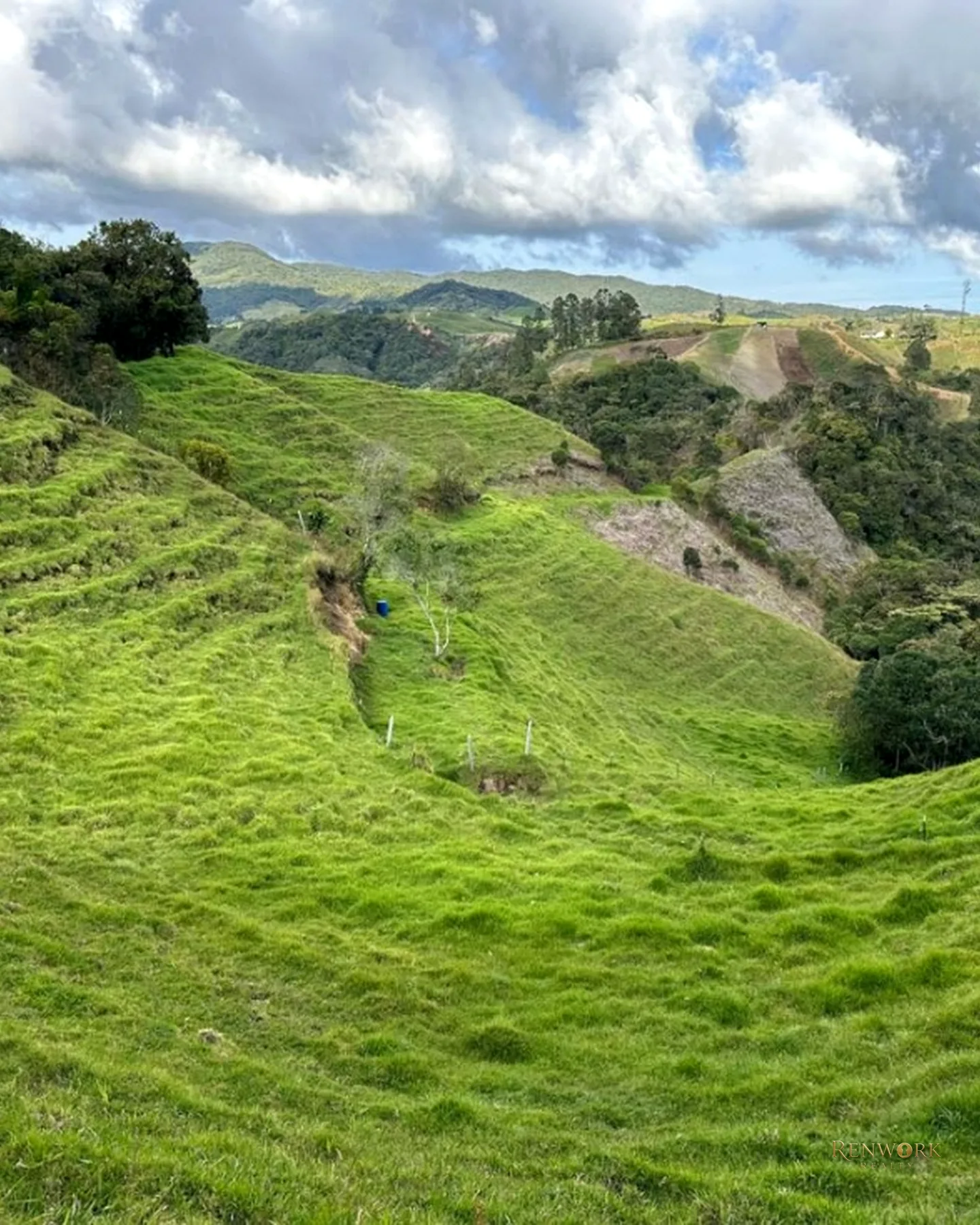 FINCA GANADERA A 4 KM DE LA UNION VEREDA MESOPOTAMIA · foto 14