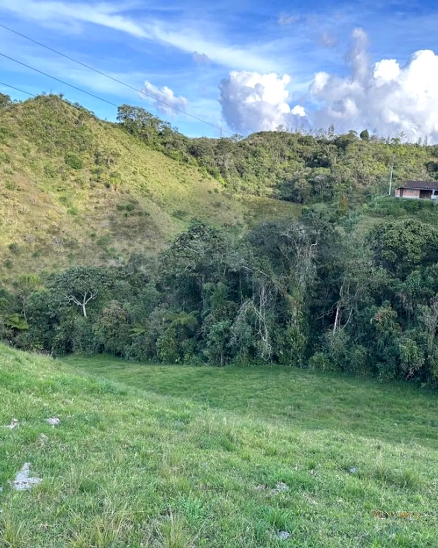 FINCA GANADERA A 4 KM DE LA UNION VEREDA MESOPOTAMIA · foto 10