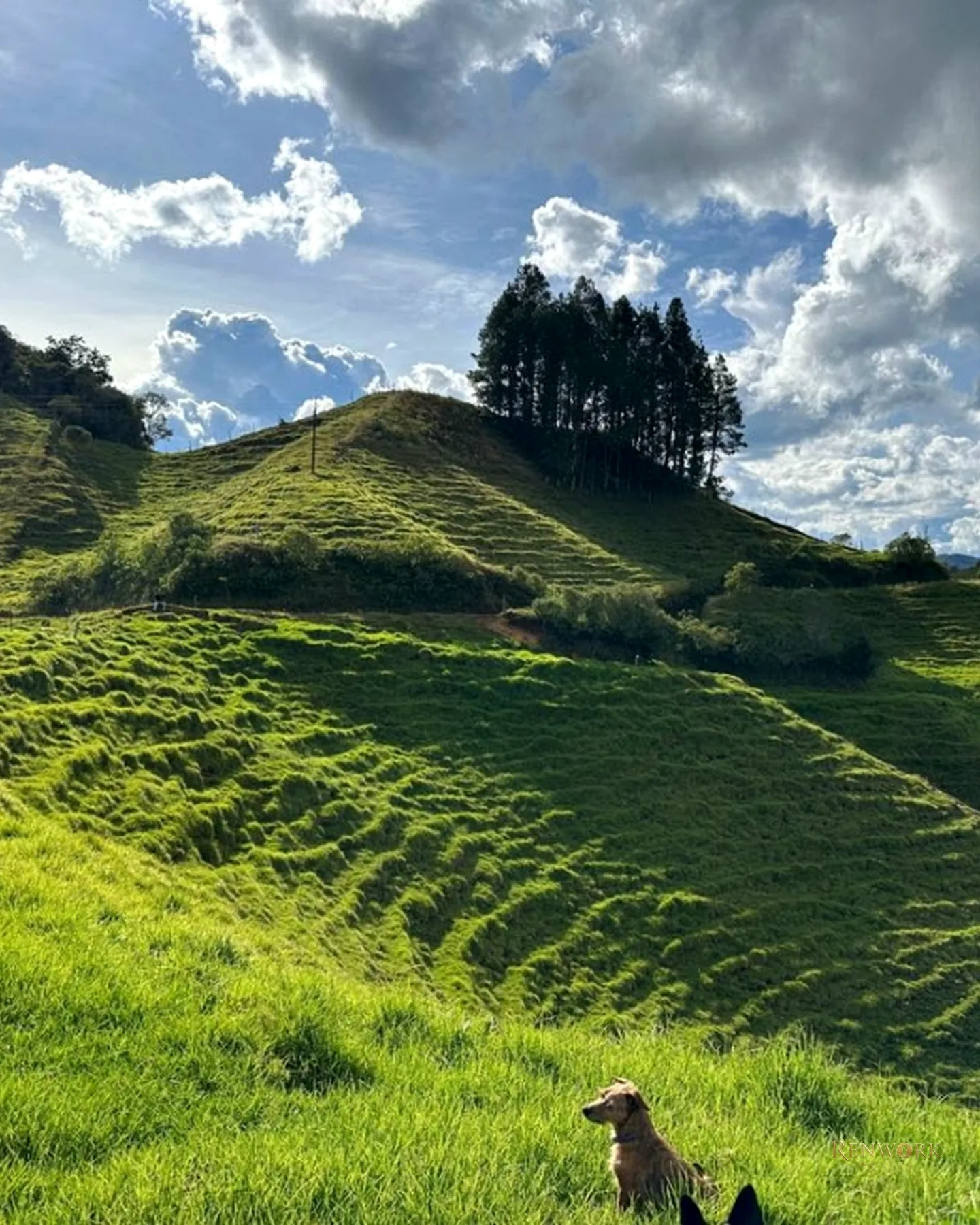 FINCA GANADERA A 4 KM DE LA UNION VEREDA MESOPOTAMIA · foto 8