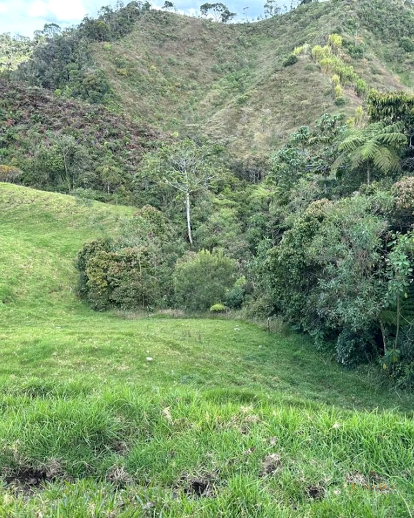 FINCA GANADERA A 4 KM DE LA UNION VEREDA MESOPOTAMIA · foto 11