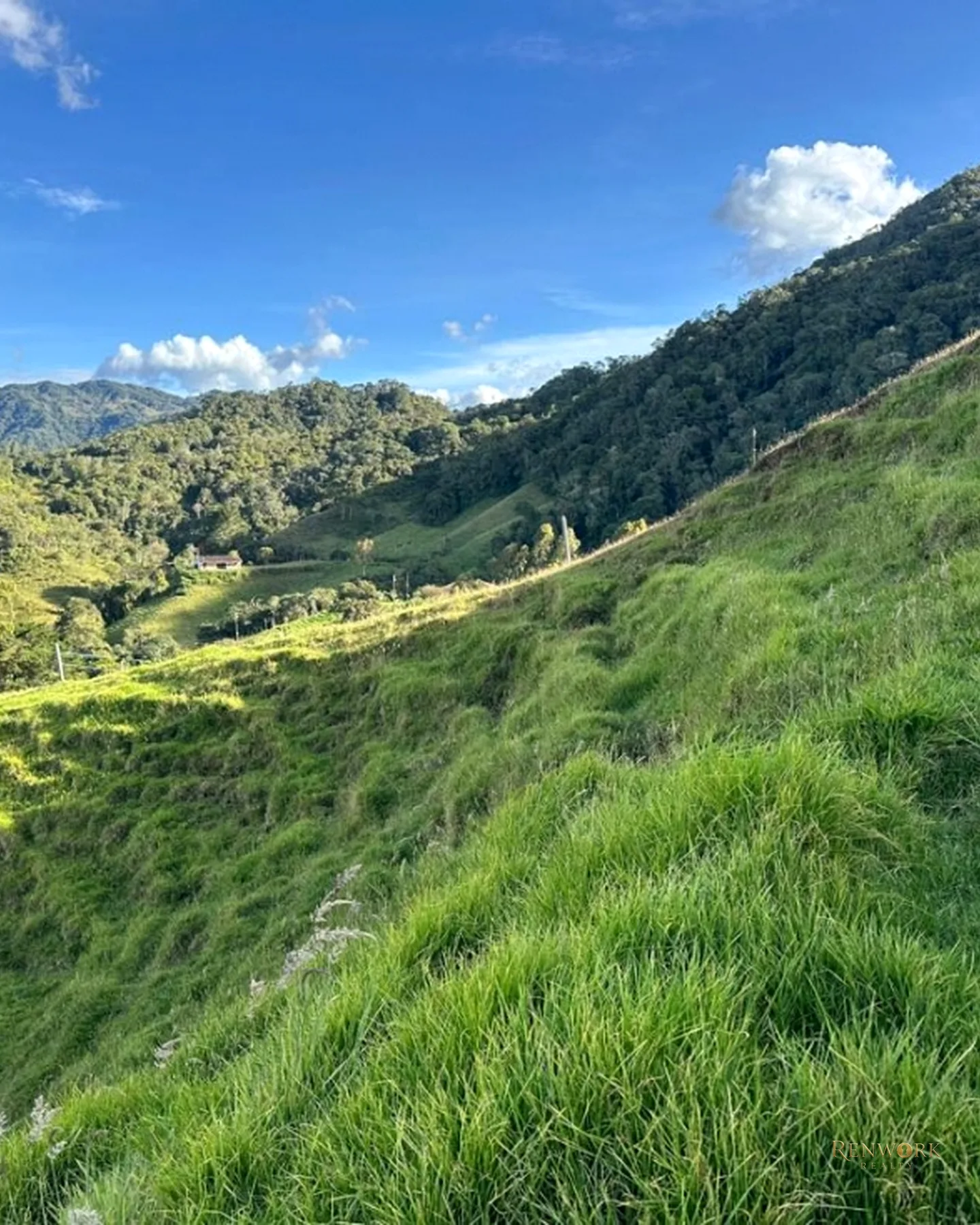 FINCA GANADERA A 4 KM DE LA UNION VEREDA MESOPOTAMIA · foto 15