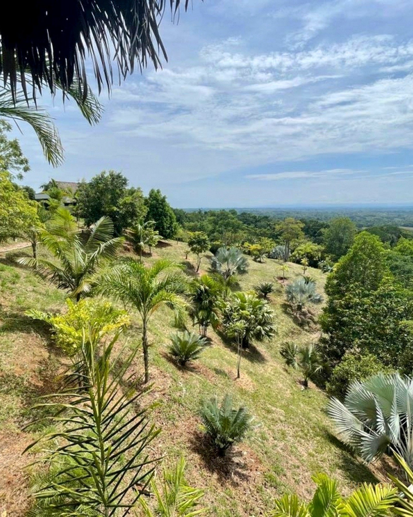 FINCA PARA LA VENTA EN DORADAL, ANTIOQUIA · foto 17